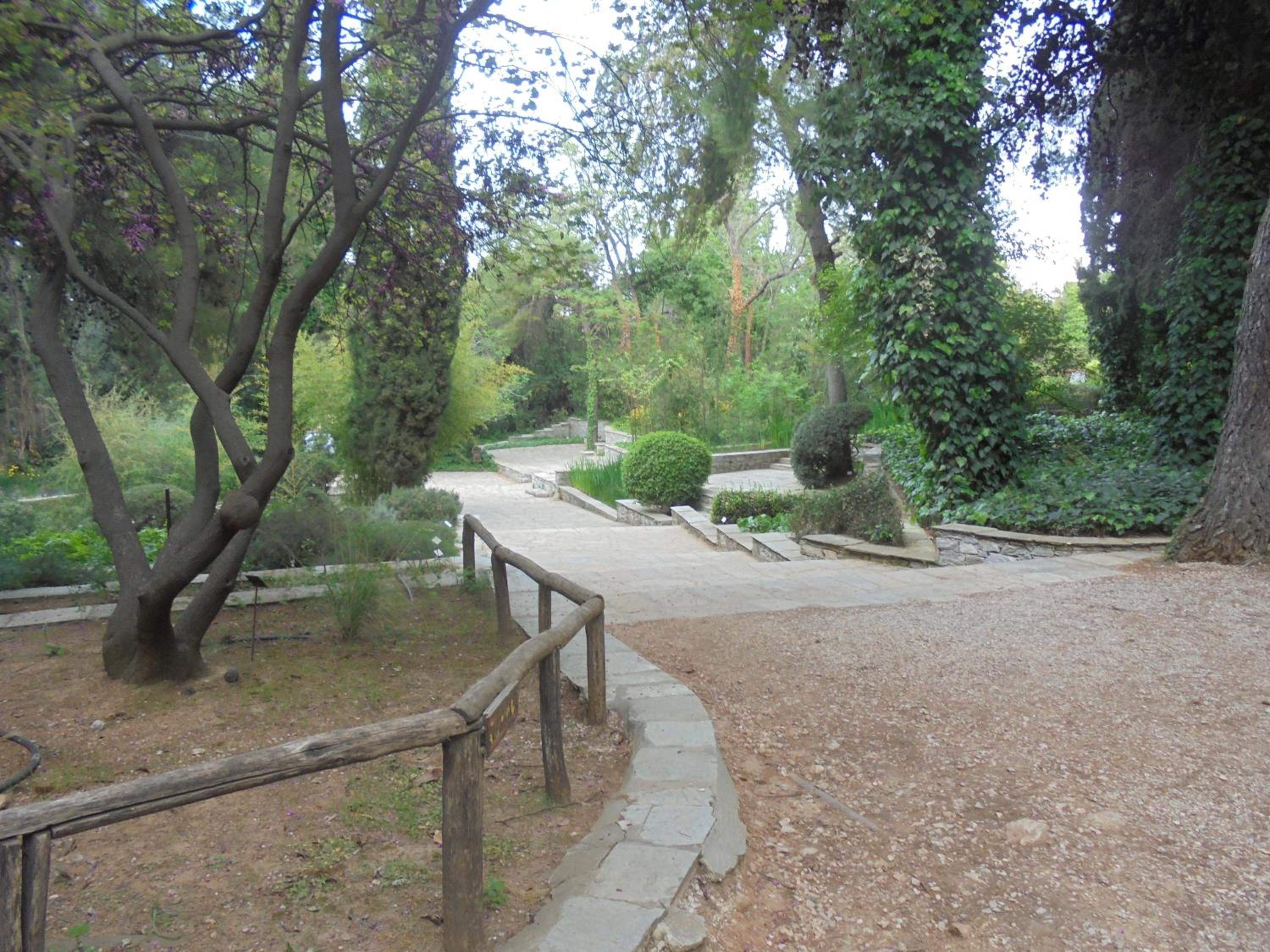 Photo 40