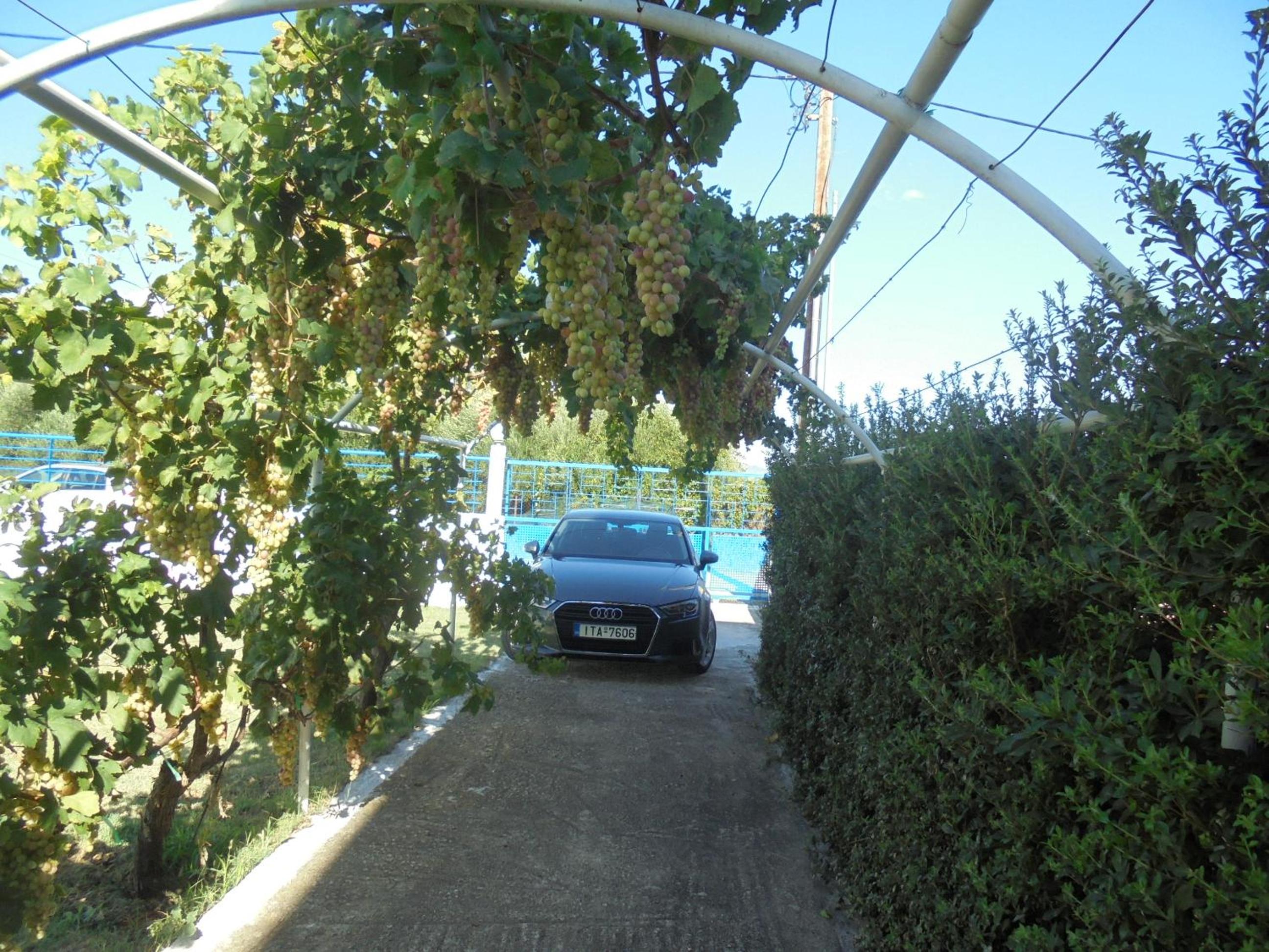 Photo 39