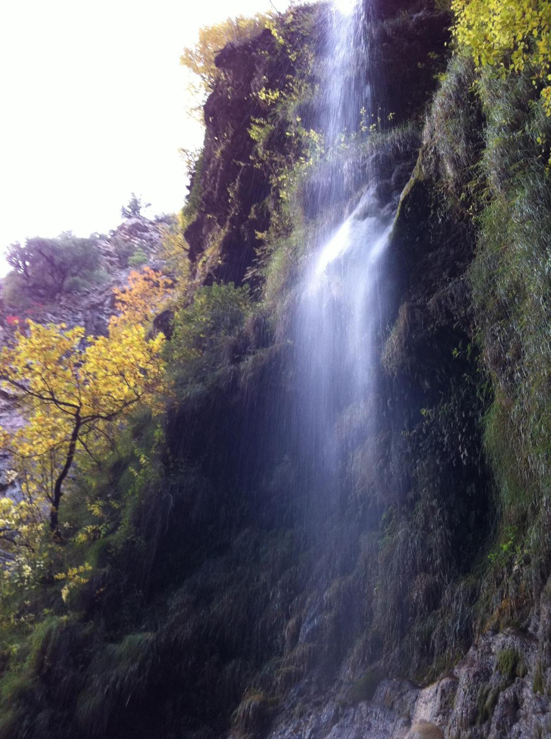 Photo 22