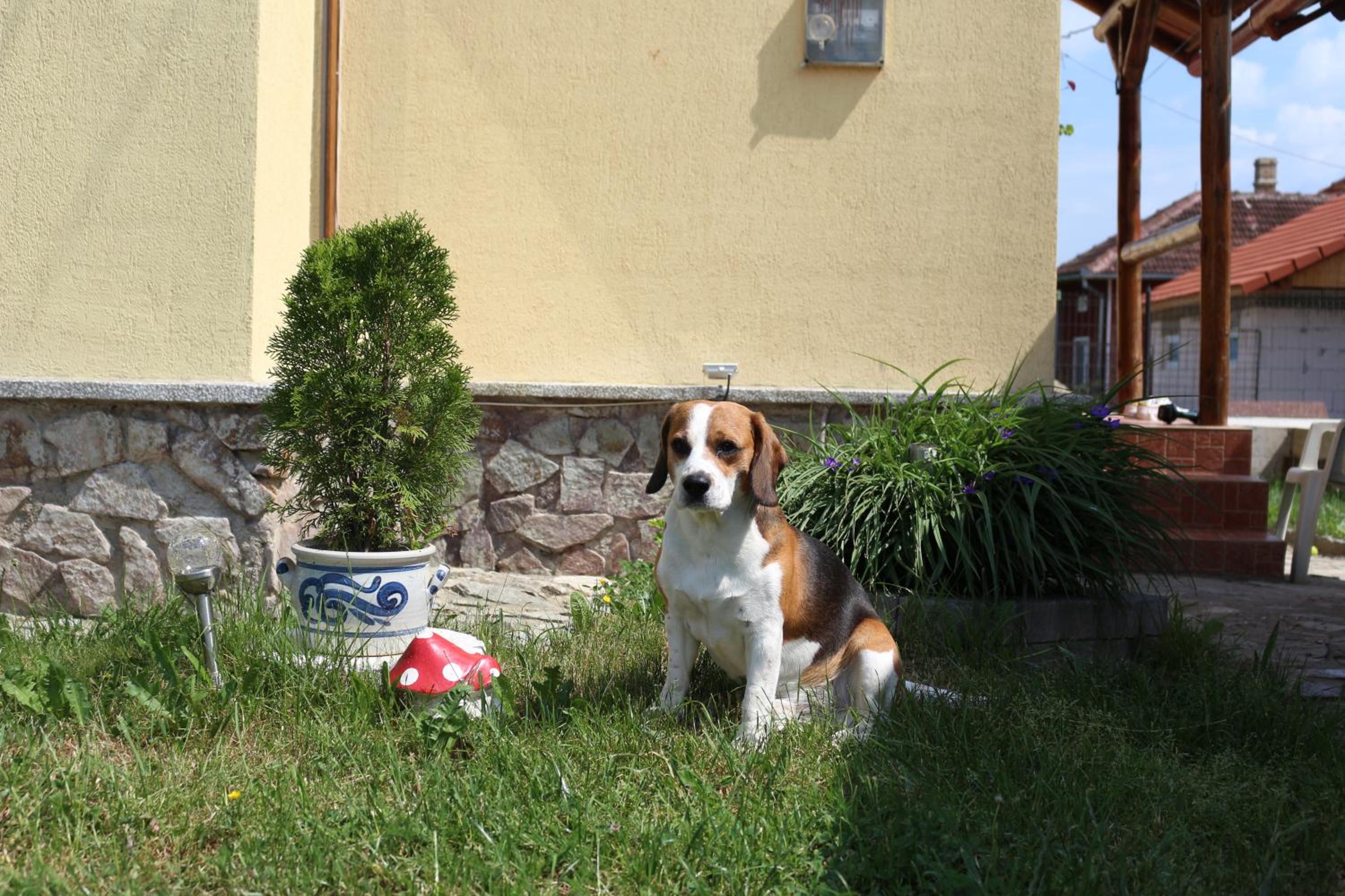 Photo 32