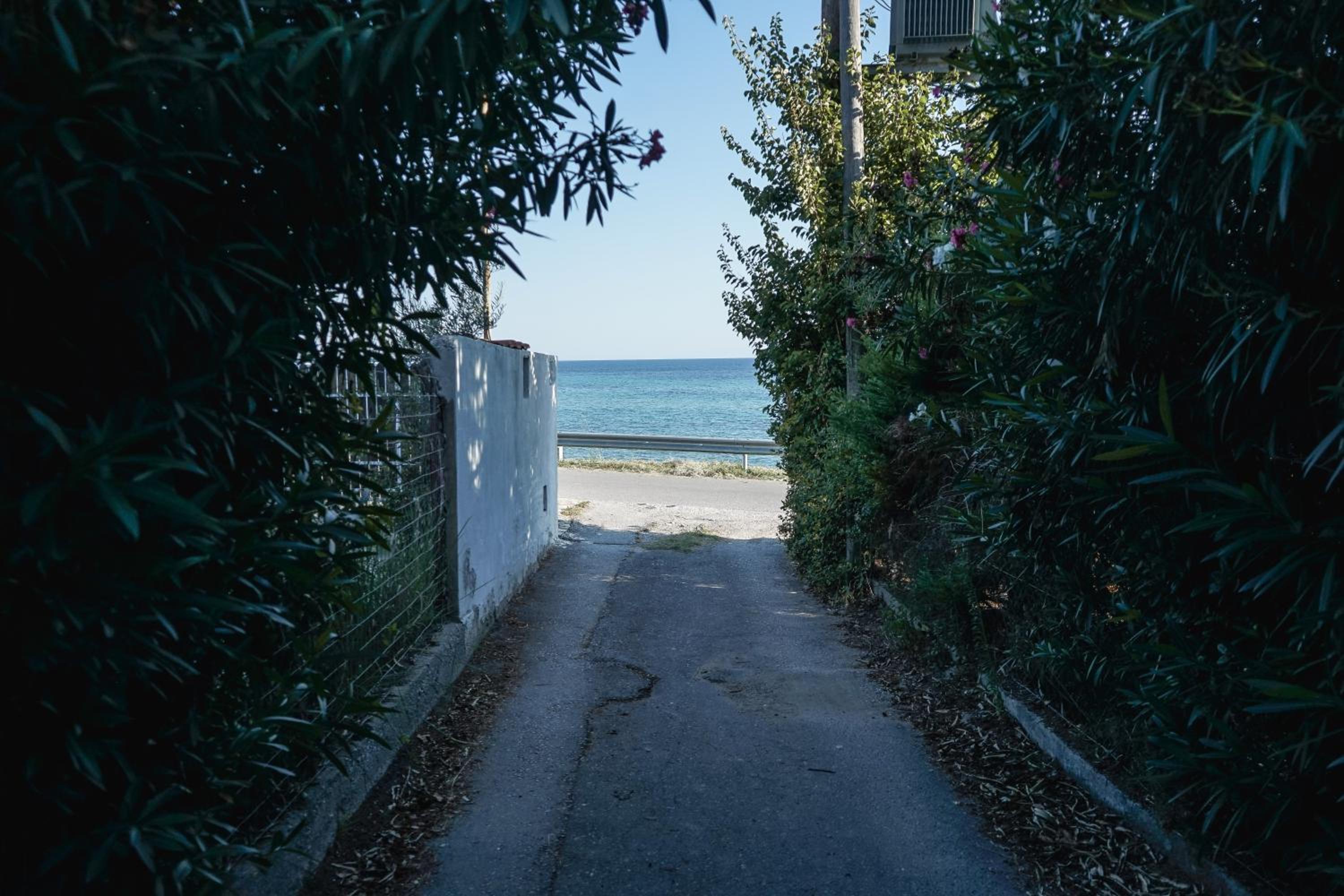 Nektarios Garenias Kipoupoli view 4