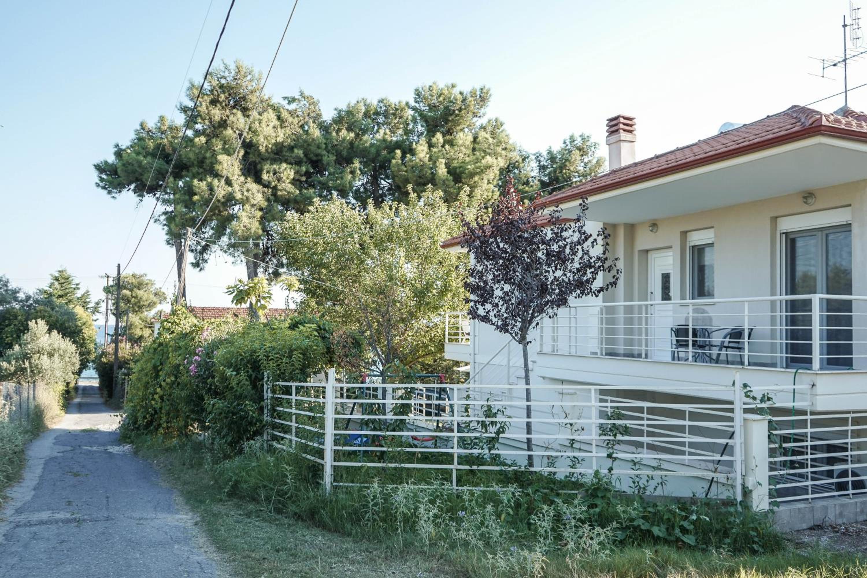 Photo 45