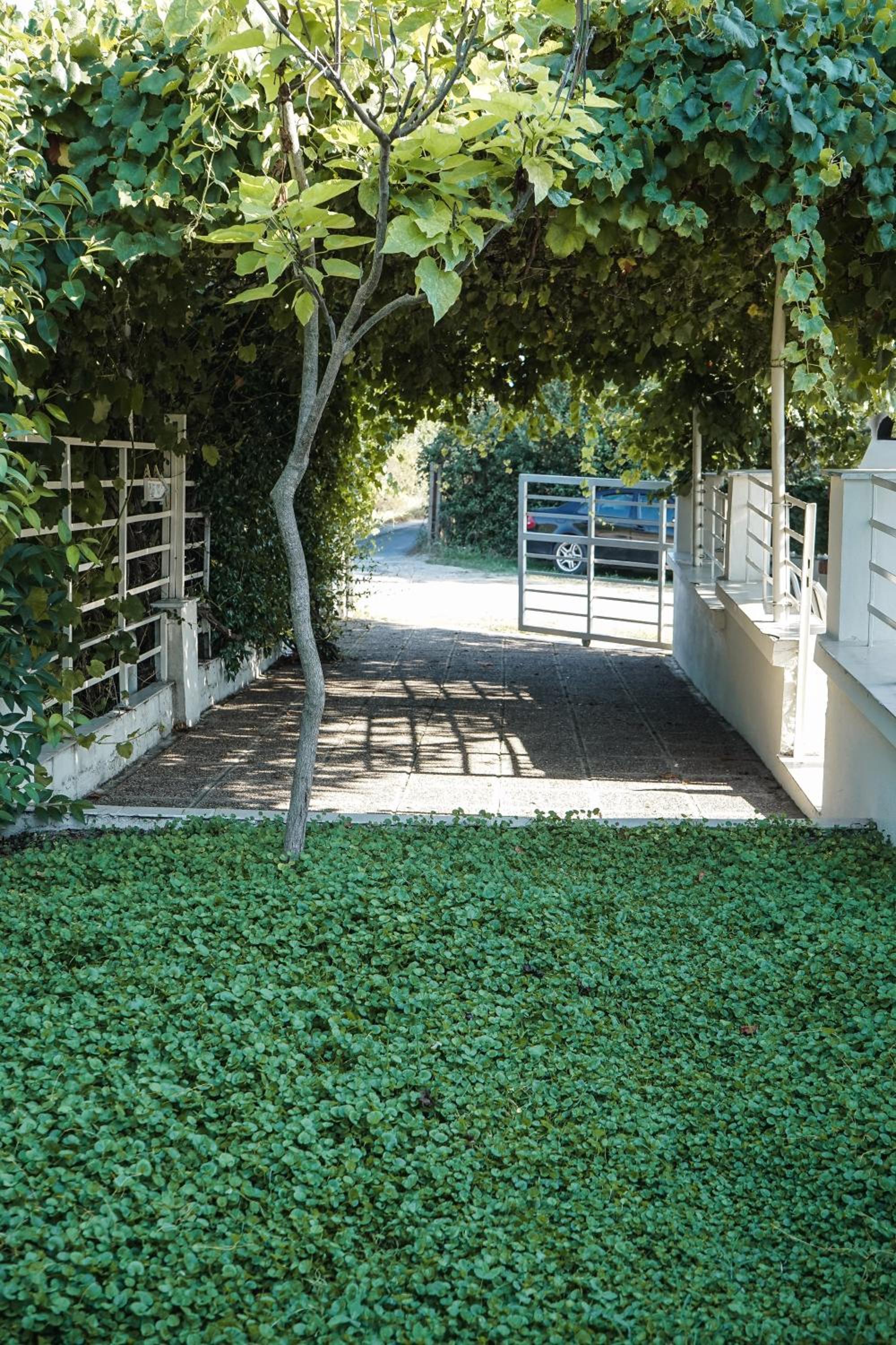 Photo 41