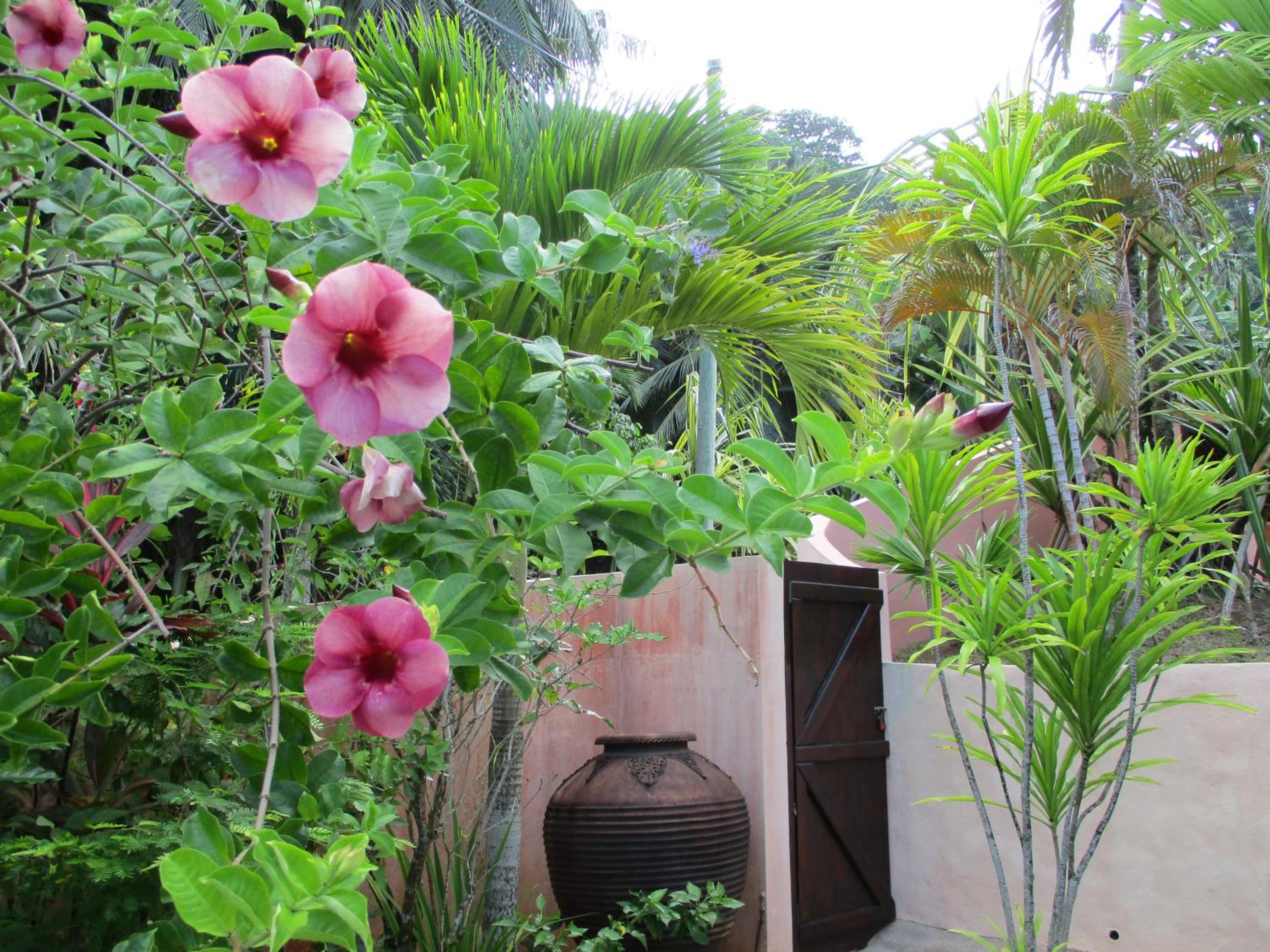 Chalets Bougainville photo 5