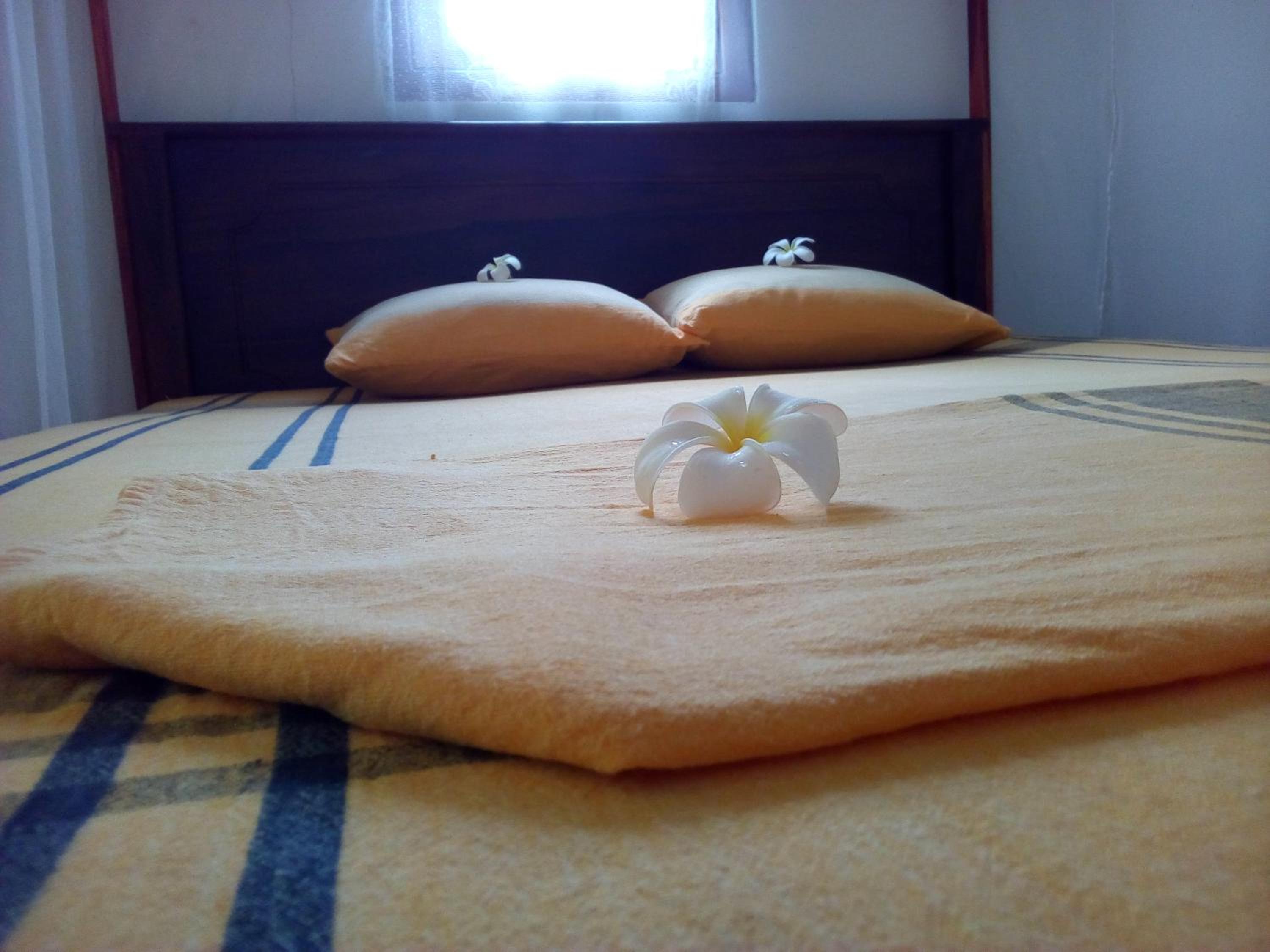 Photo 36