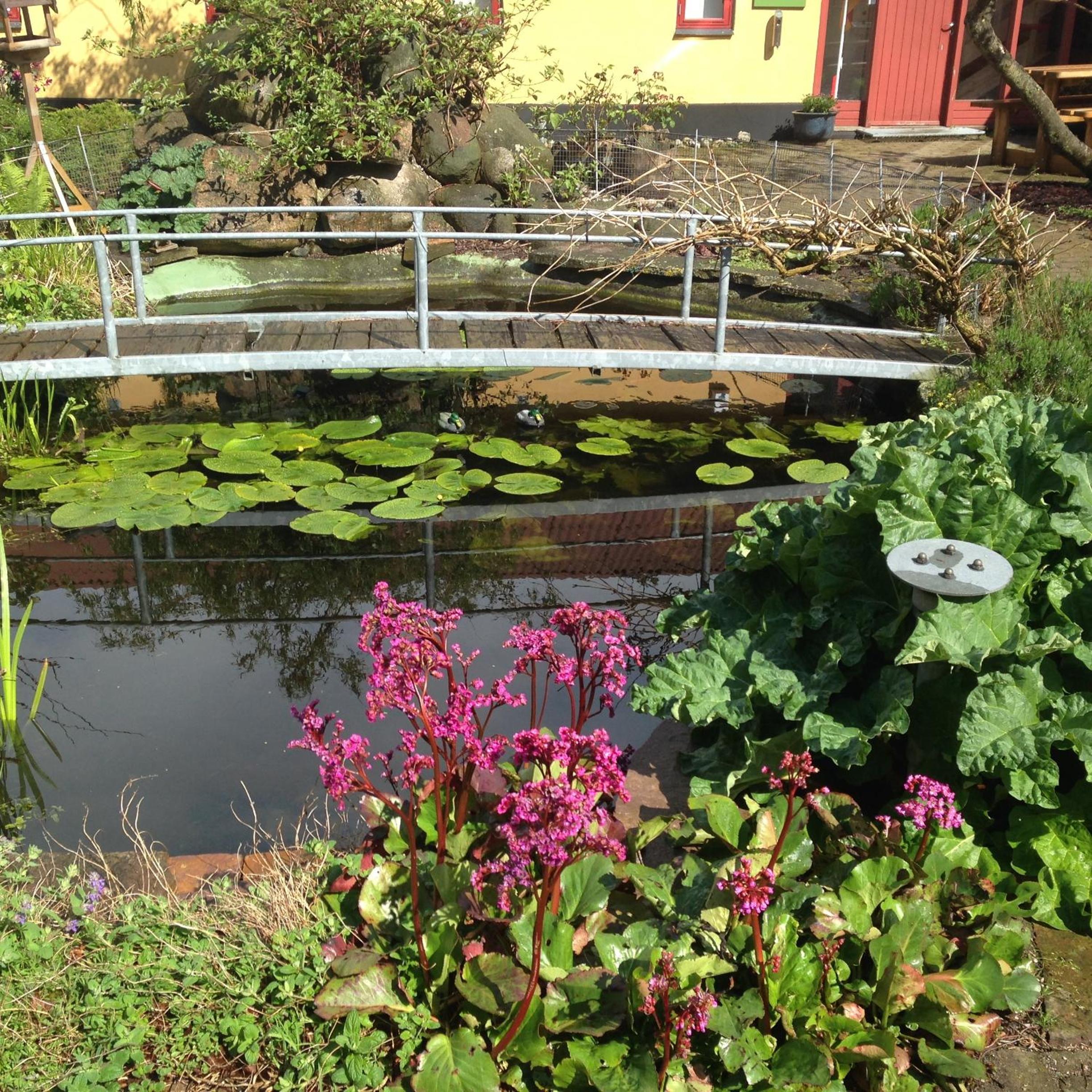 Photo 17