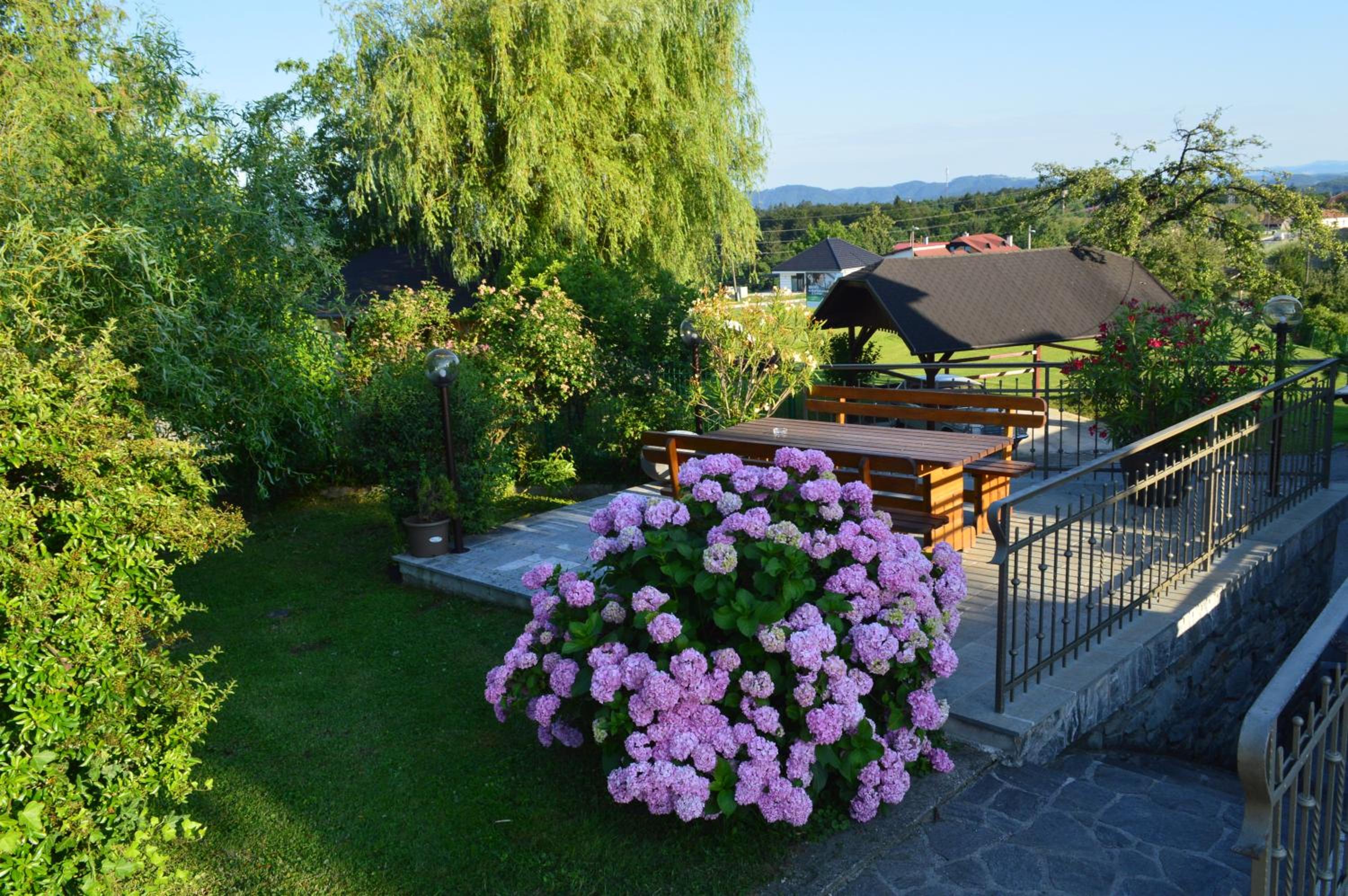 Photo 6