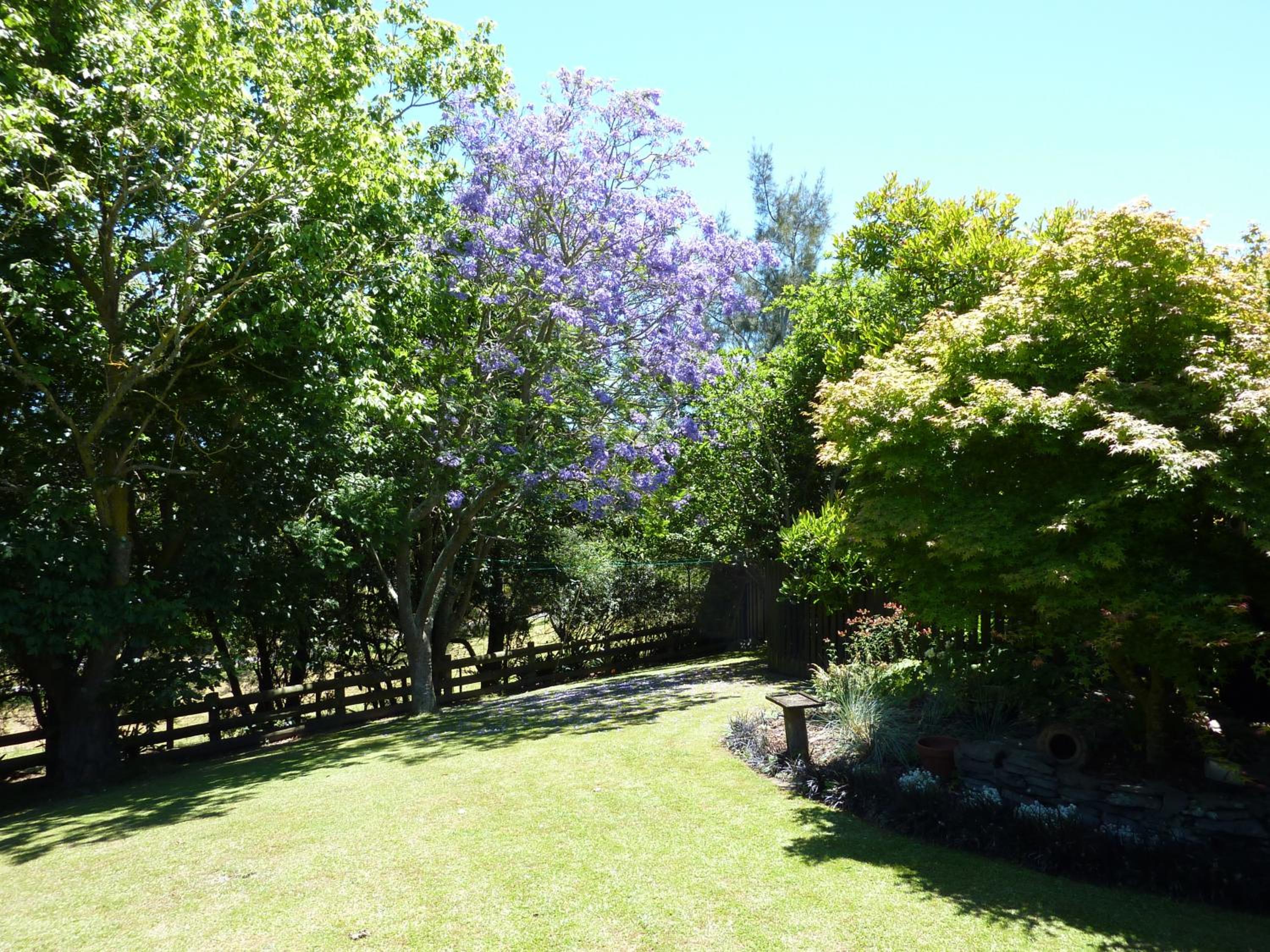 Photo 27