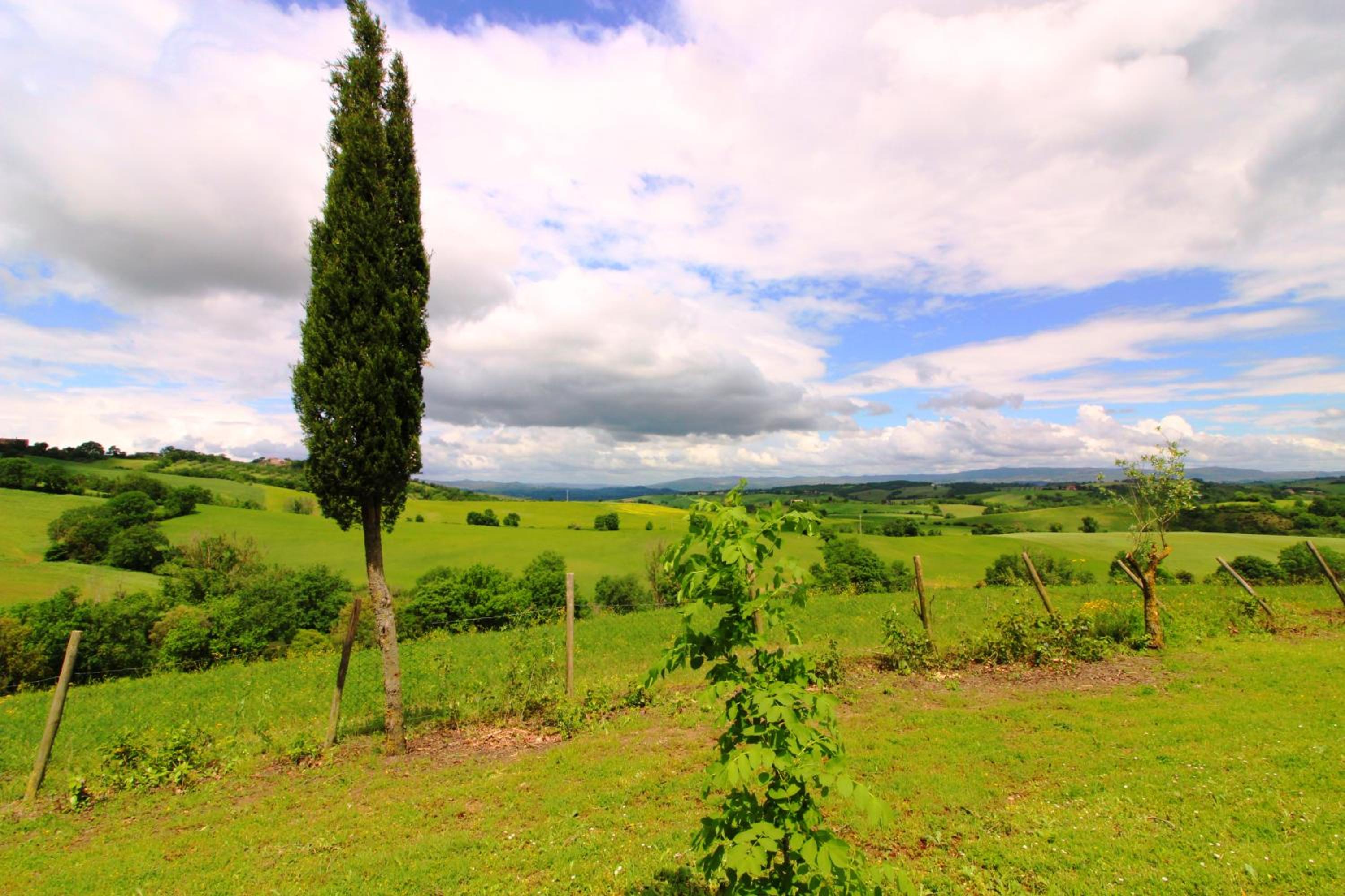 Agriturismo Le Calle view 4