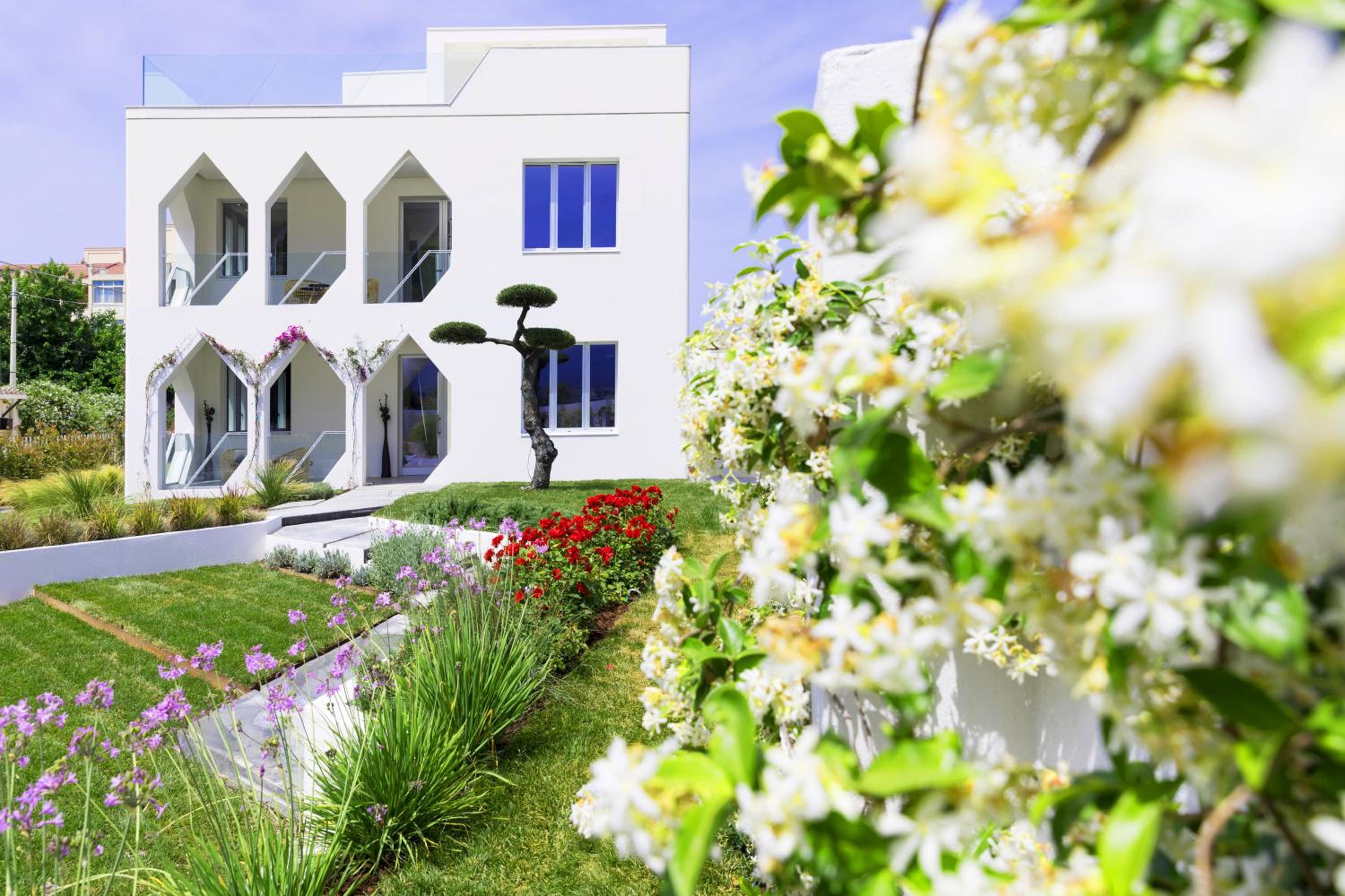 Villa Vi