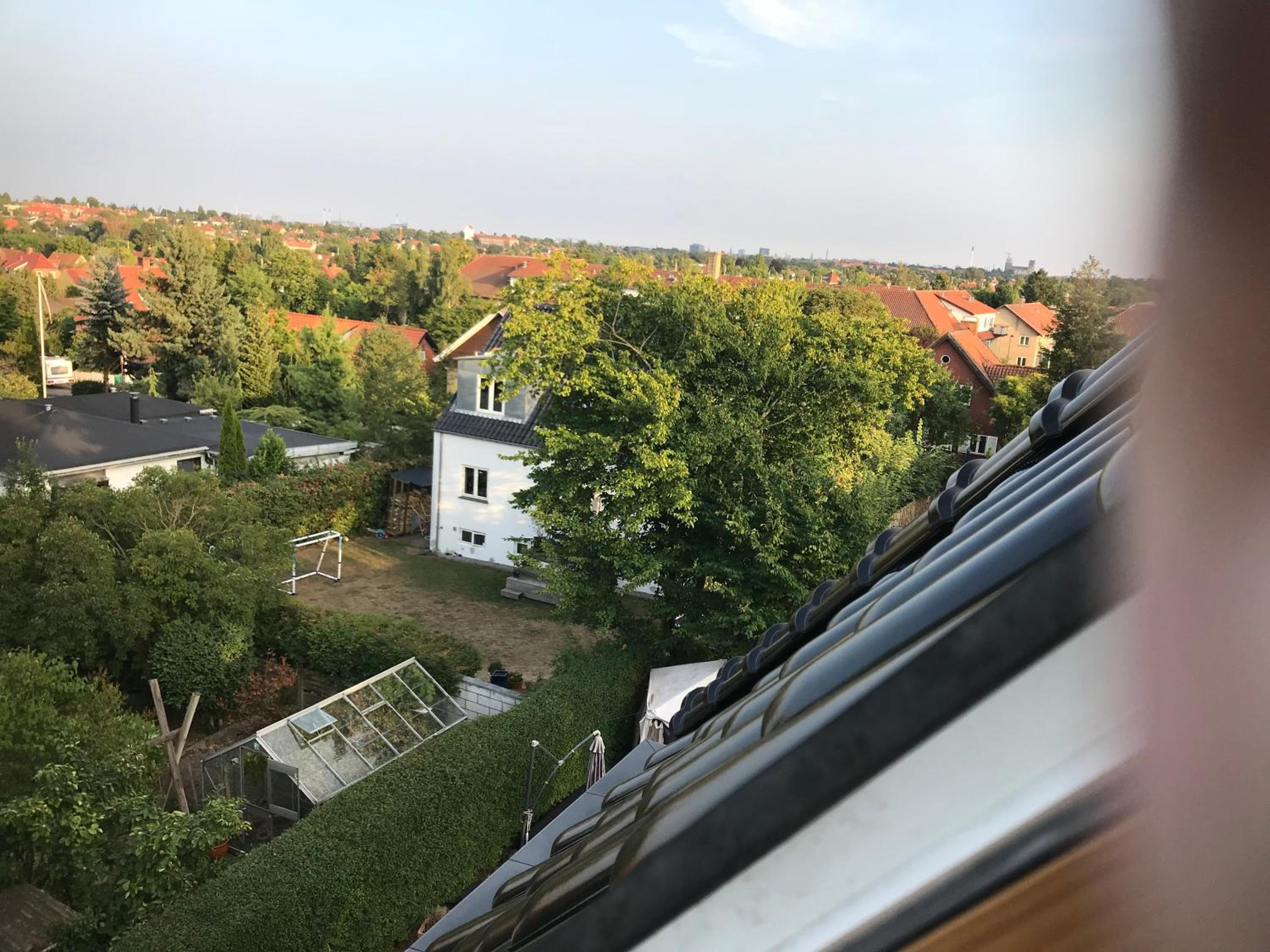 Photo 39