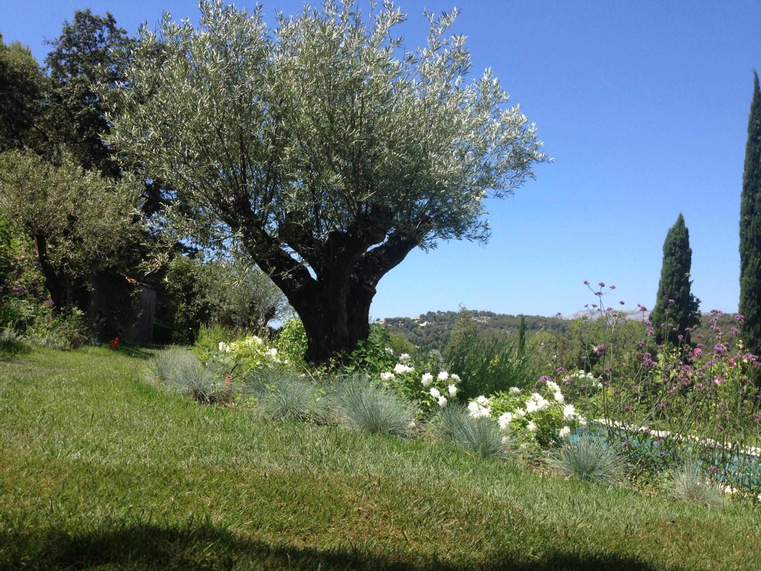 Photo 29