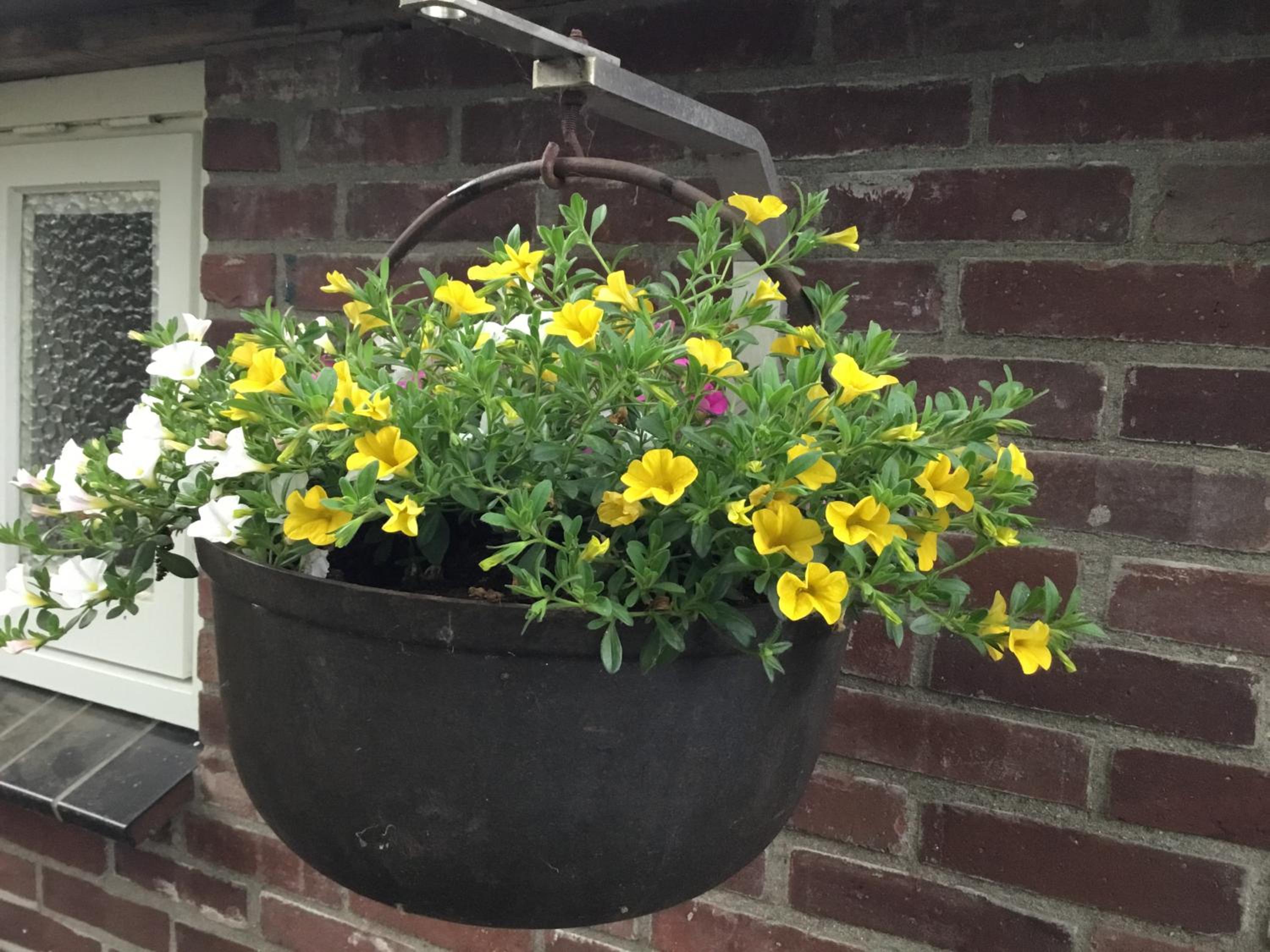 B&B Op 't Eikenschoor view 5