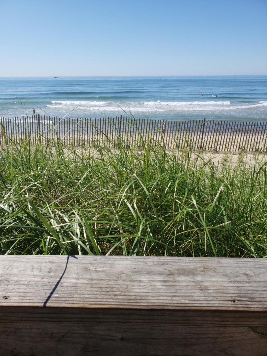 Marram
