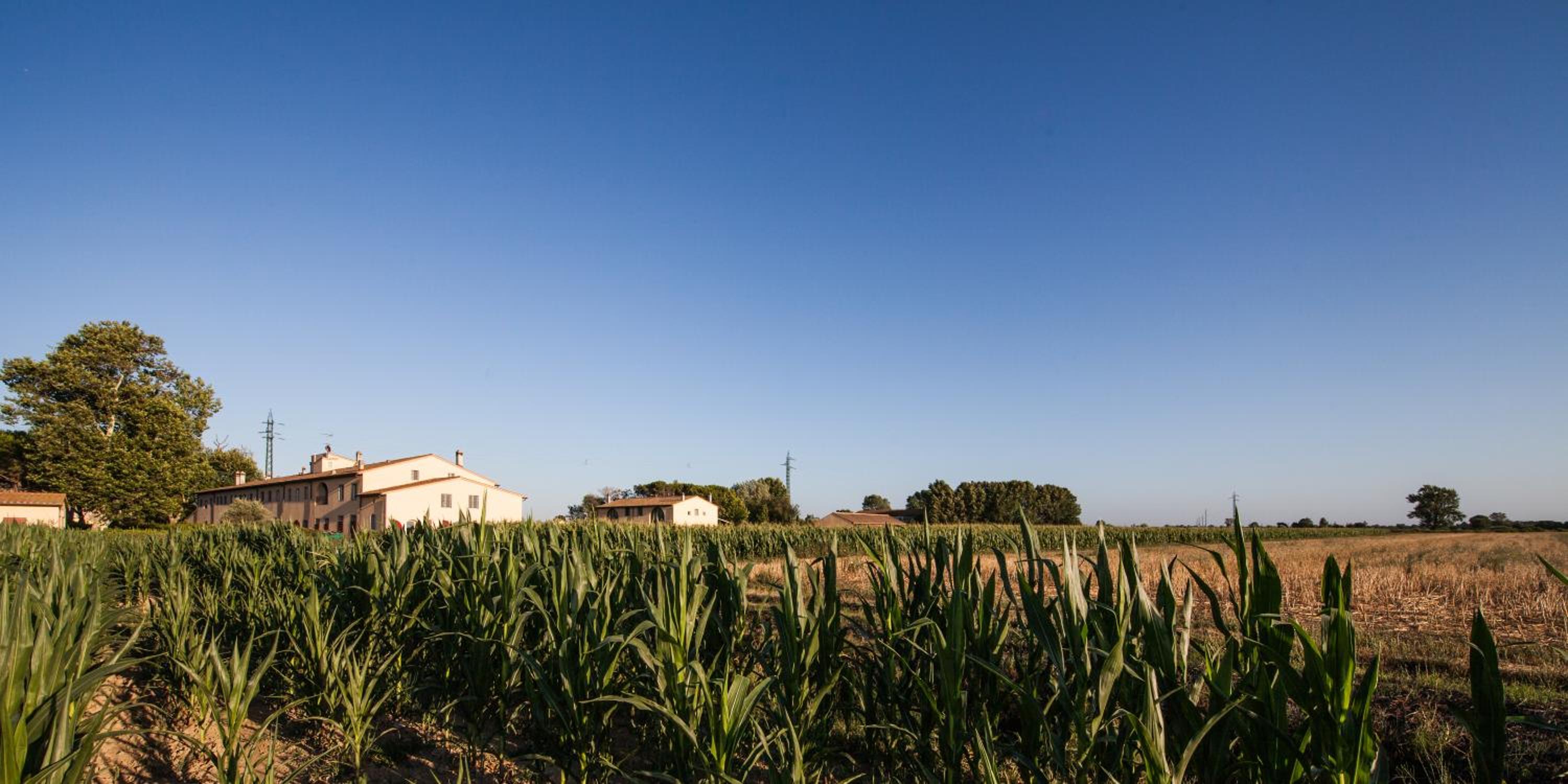 Cascina Canova