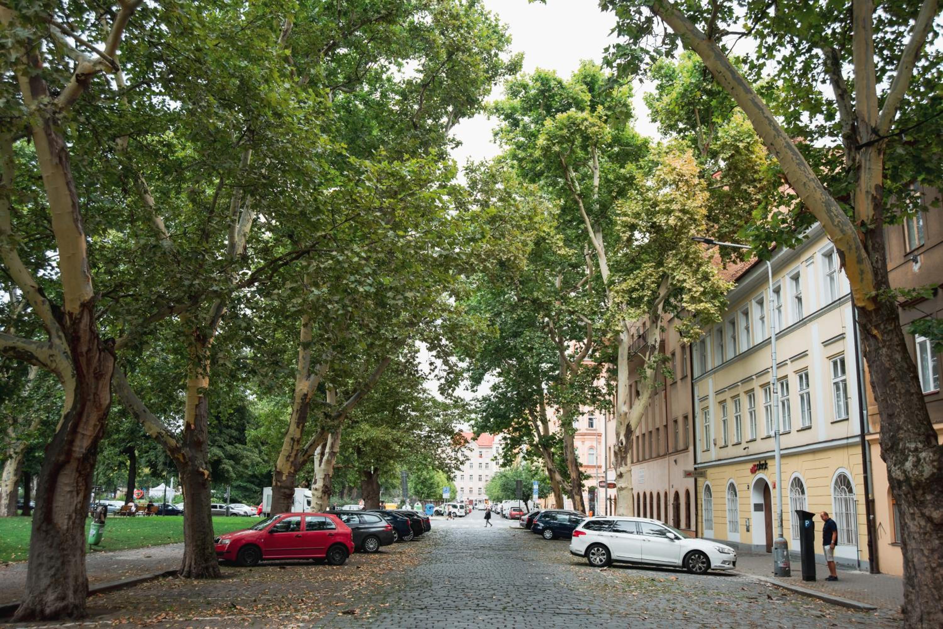 Apartment Gesse Kollarova