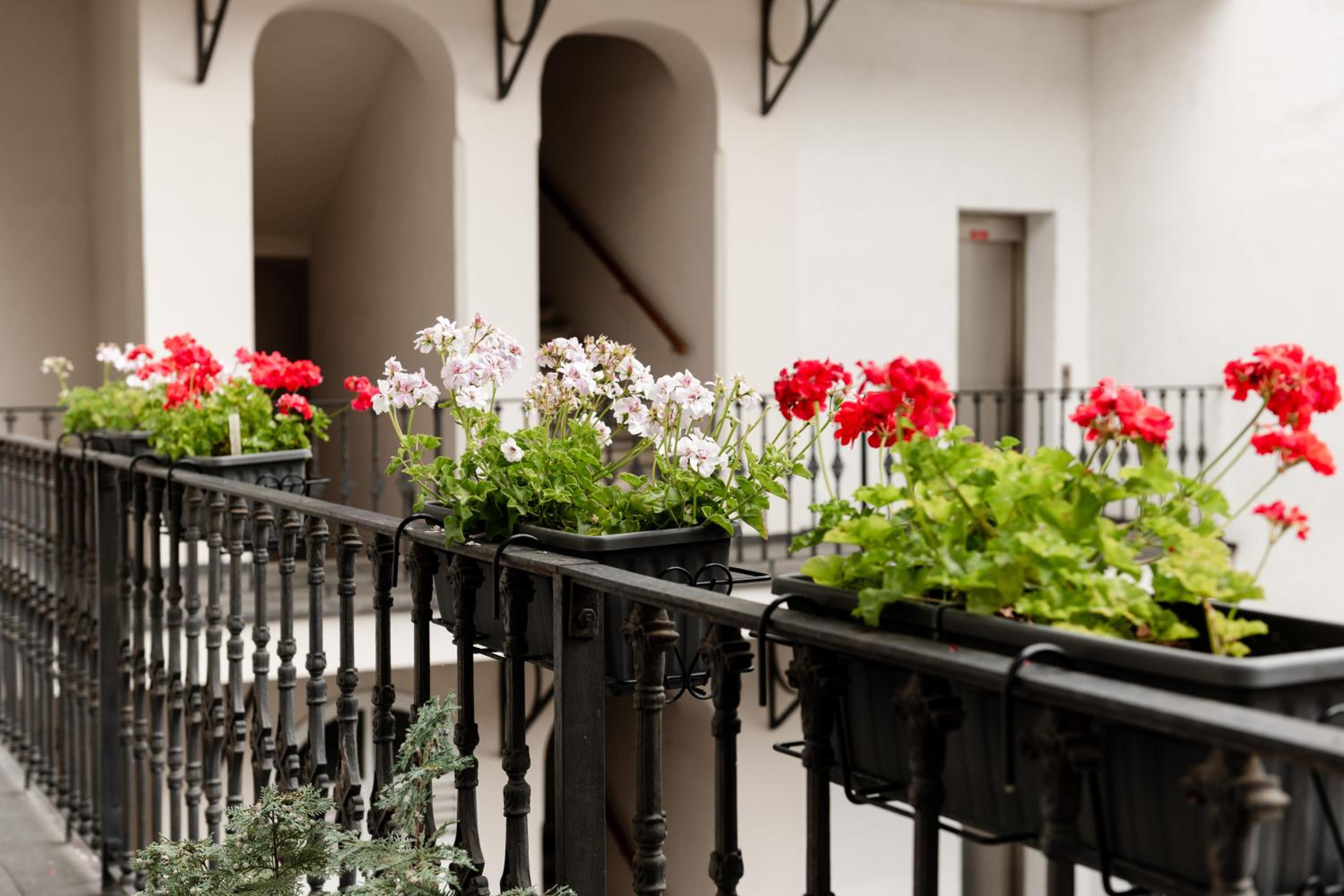Apartment Gesse Kollarova