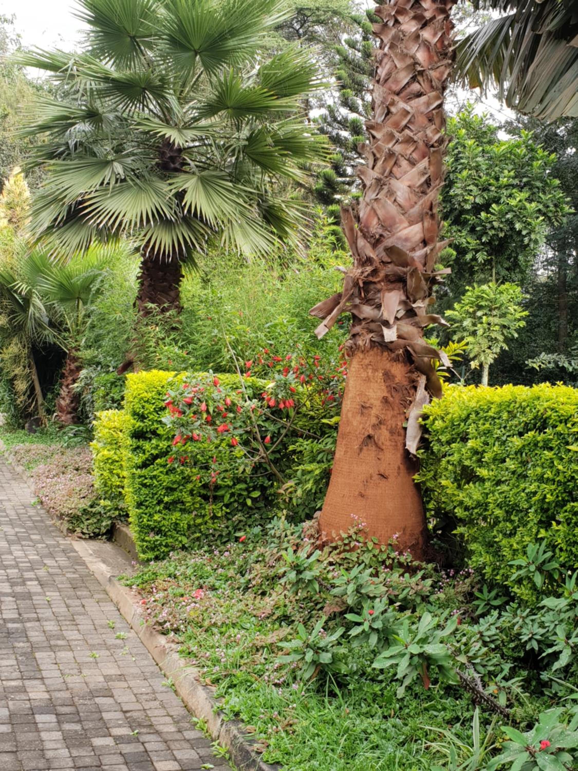 Spurwing Guest House