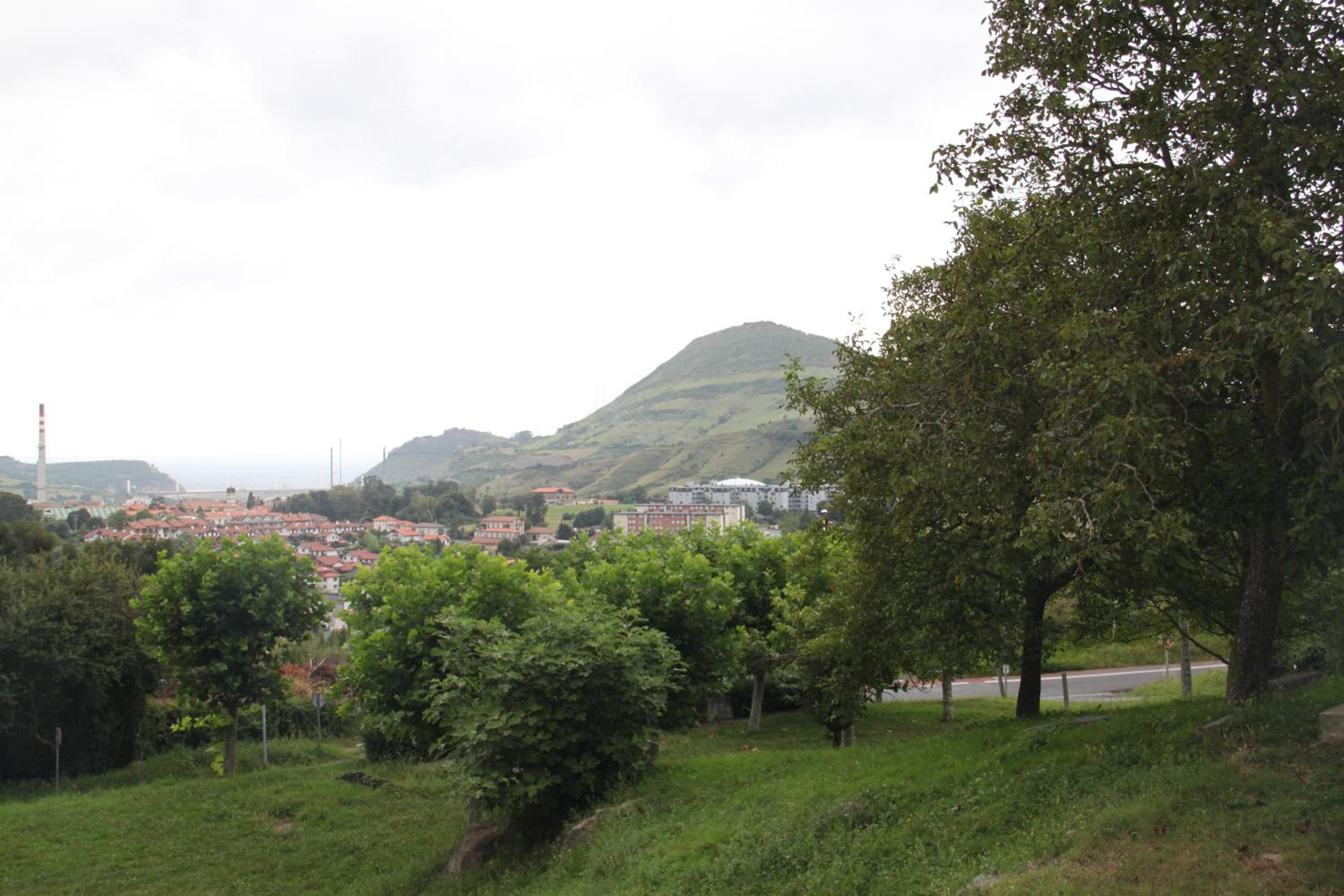 Photo 41