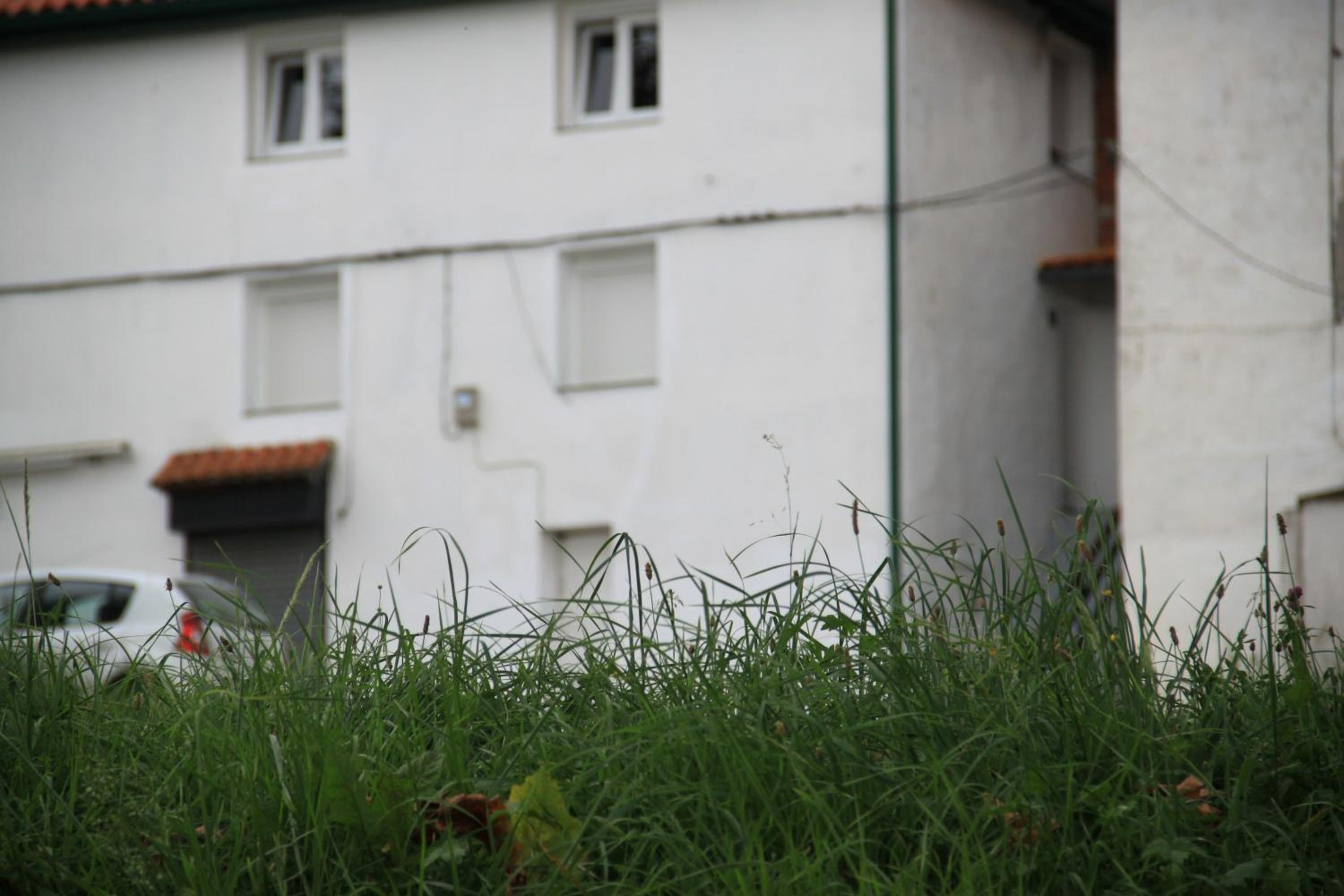 Photo 33