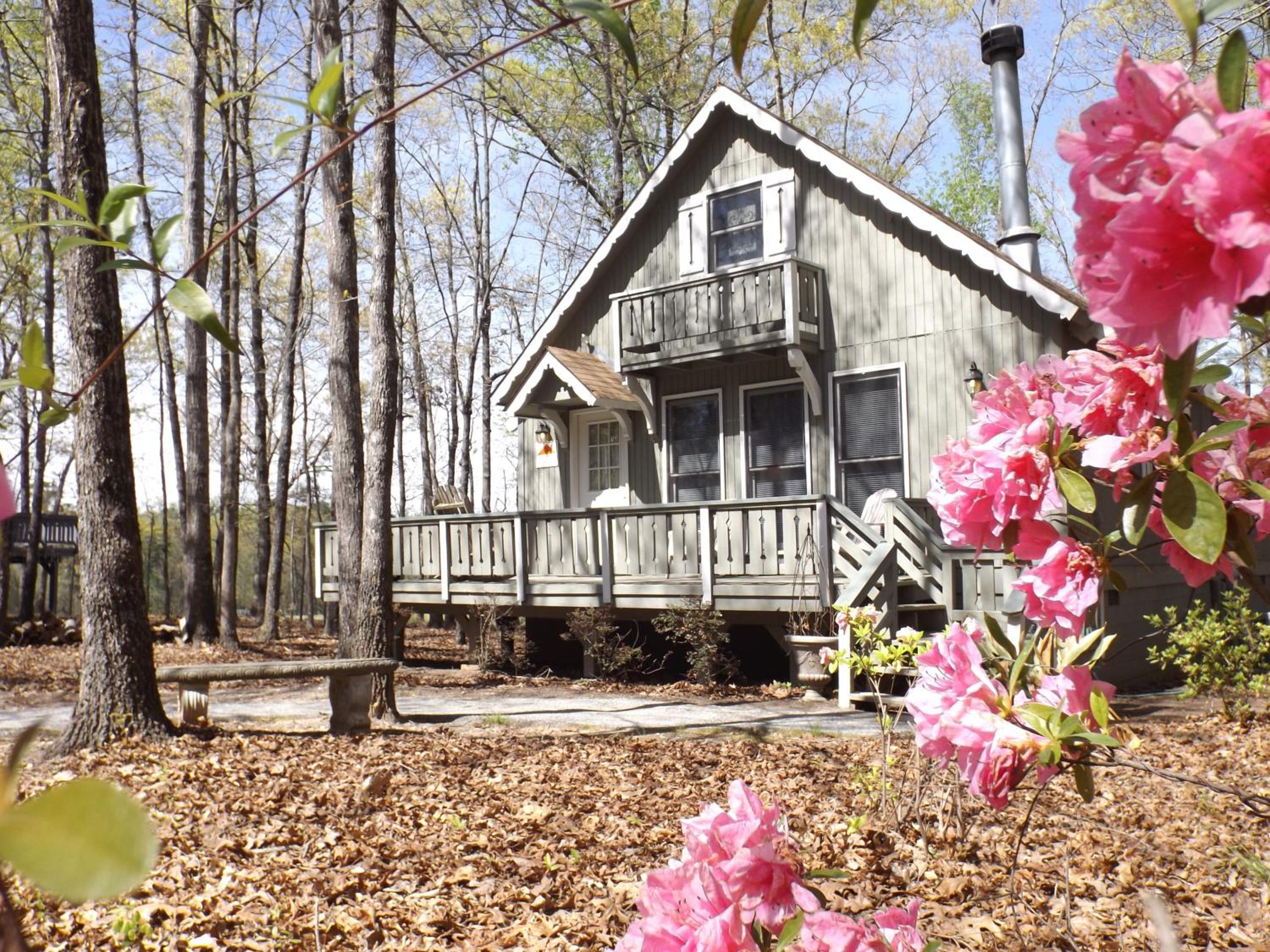 Pine Mountain Club Chalets Resort - Property Image 112