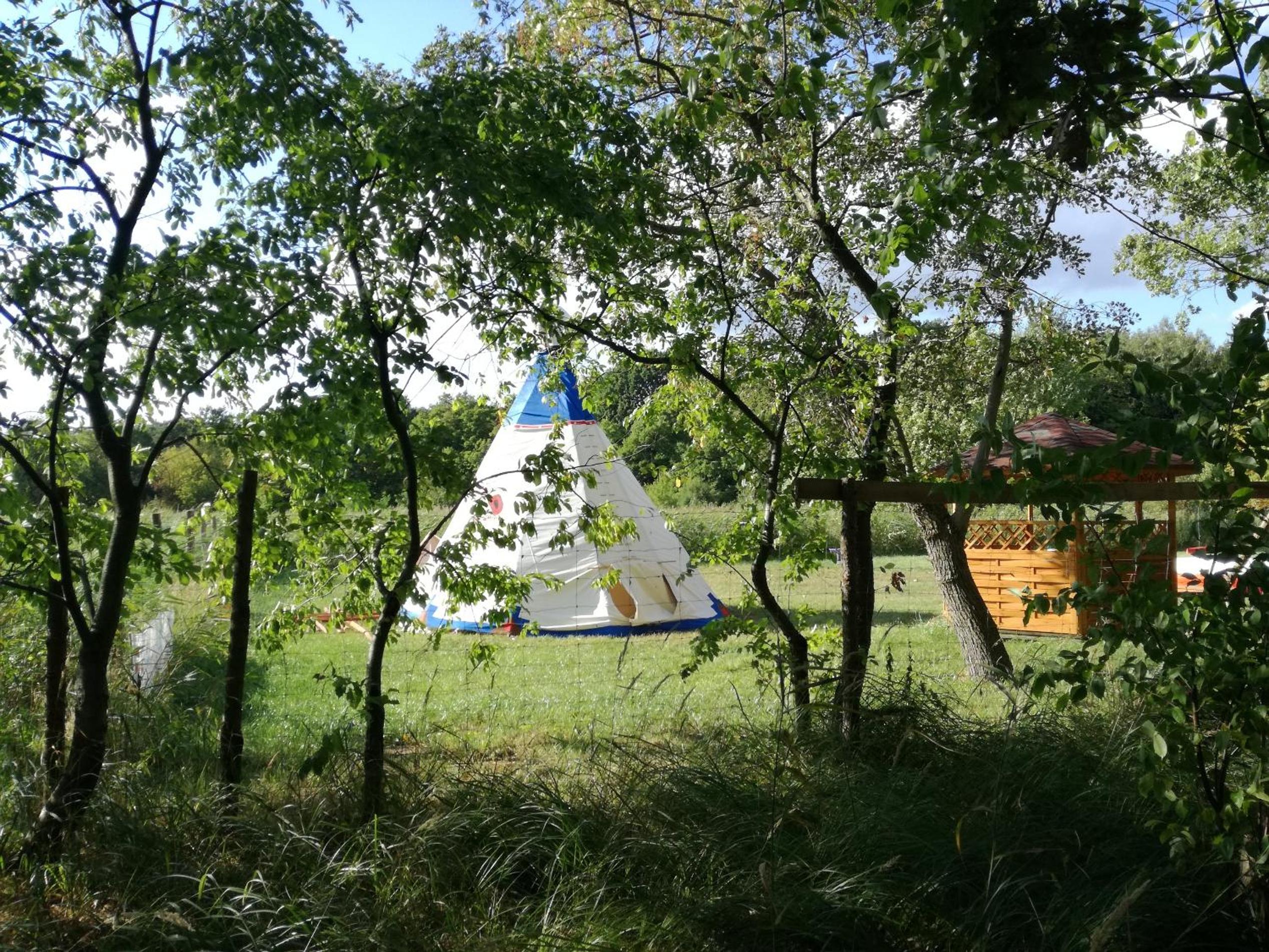 Glamping Podgrodzie view 3