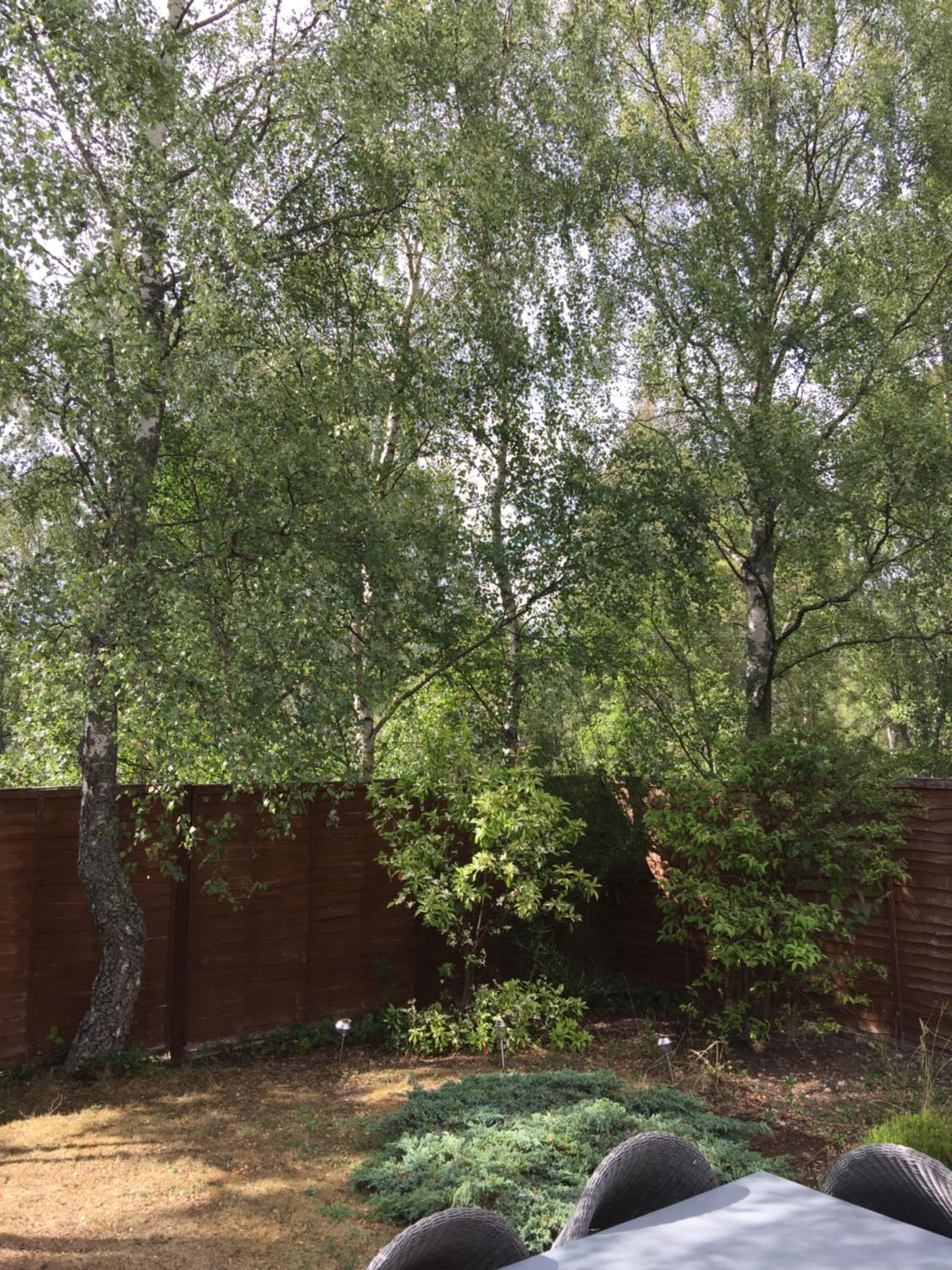 Photo 21