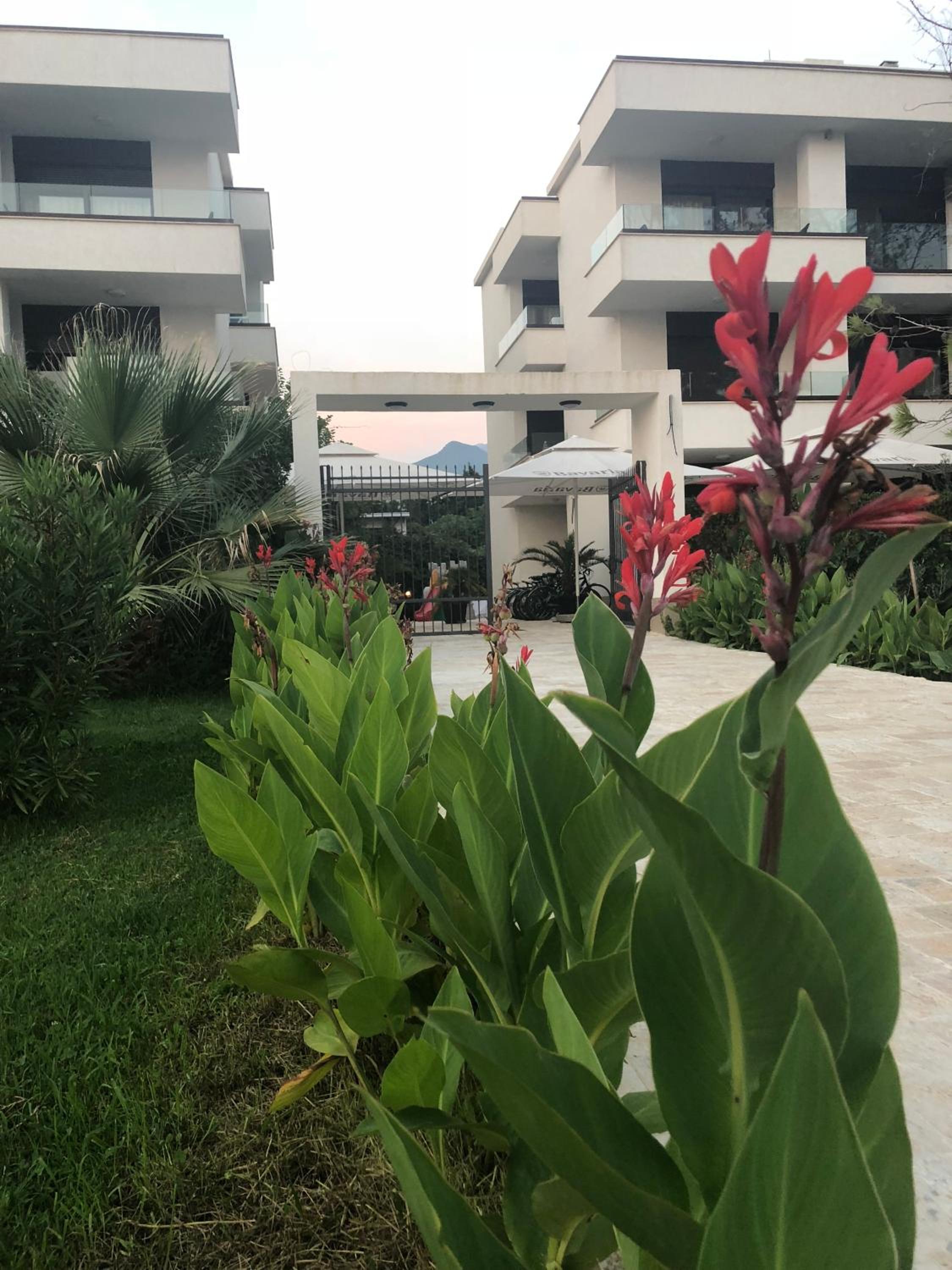 Apartments Kuce Lekovica Beach & snack bar- Bistro