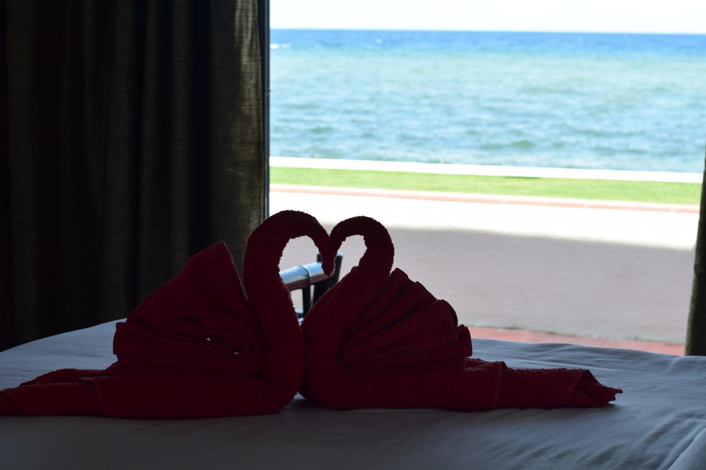 the beachhouse cebu