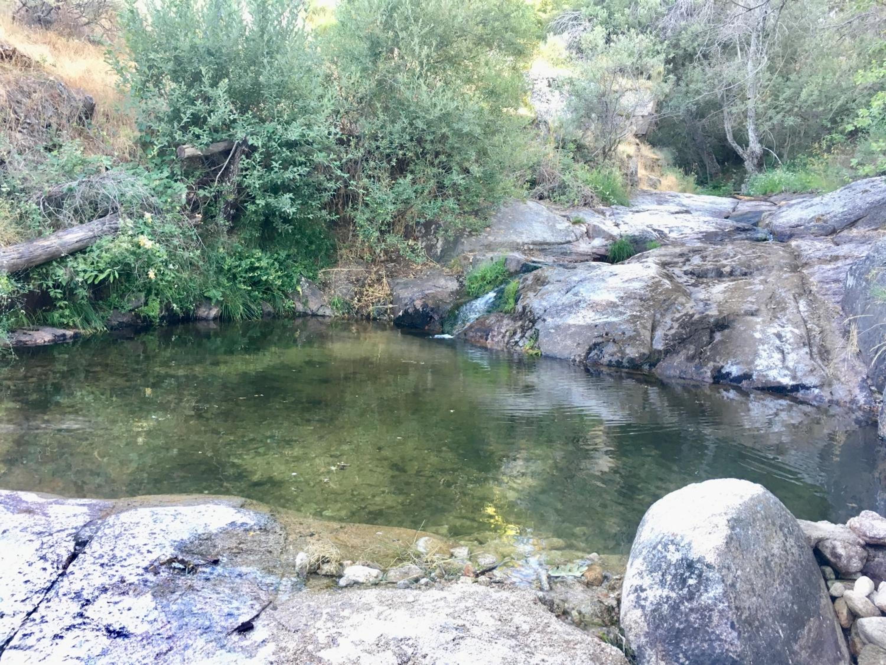 Photo 10