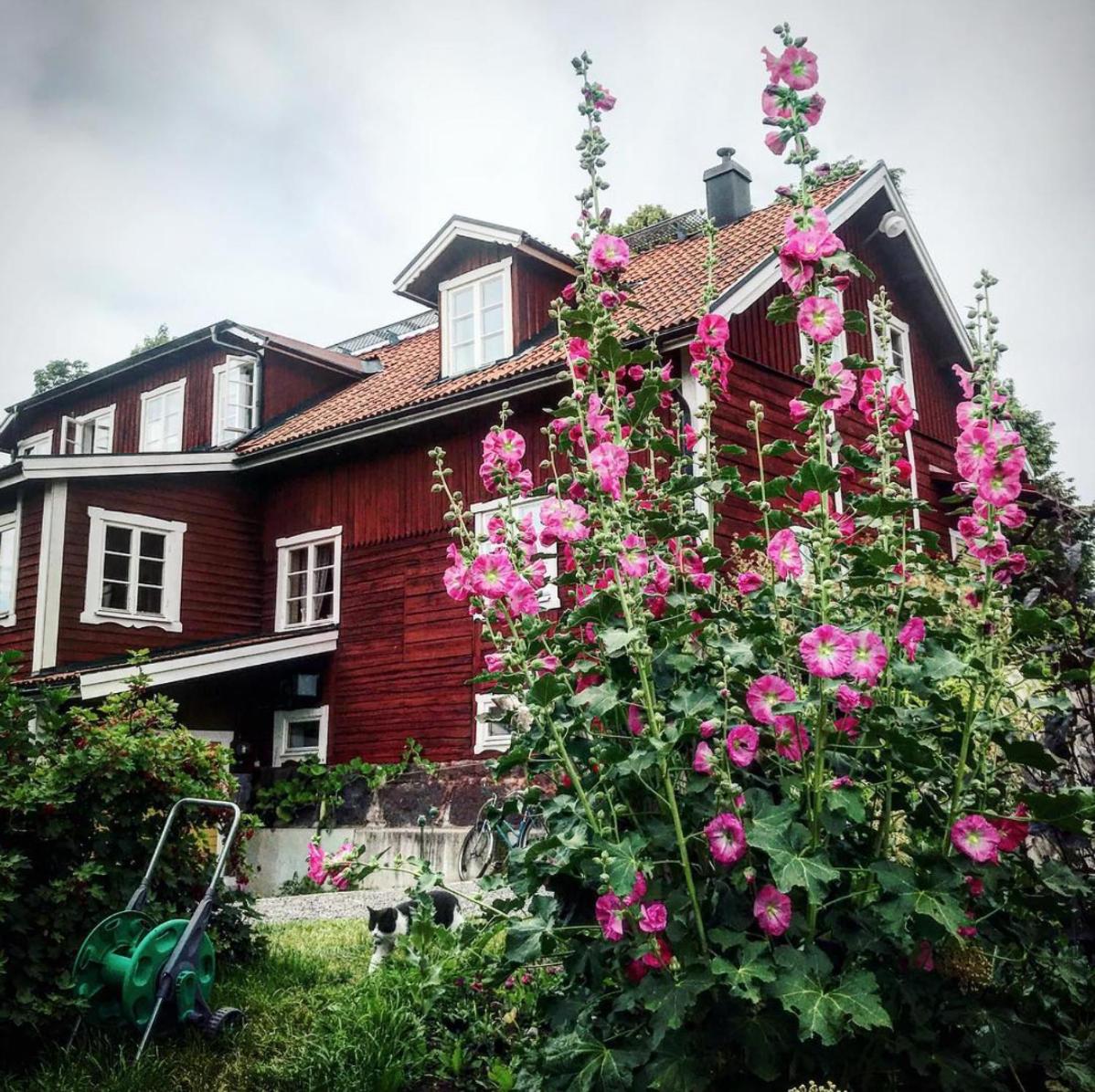Klefstad gård view 5