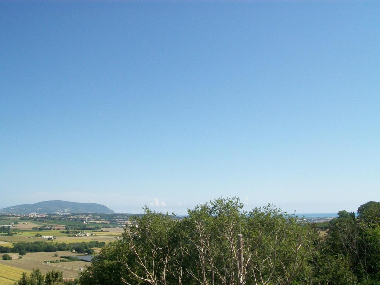 Affittacamere il girasole view 4