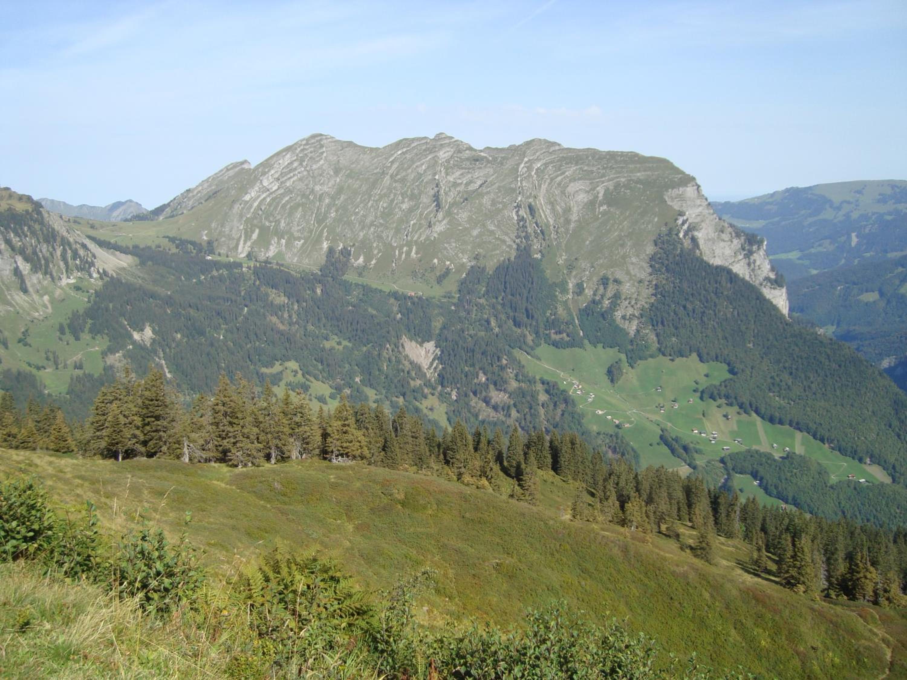Ferienbauernhof Beer