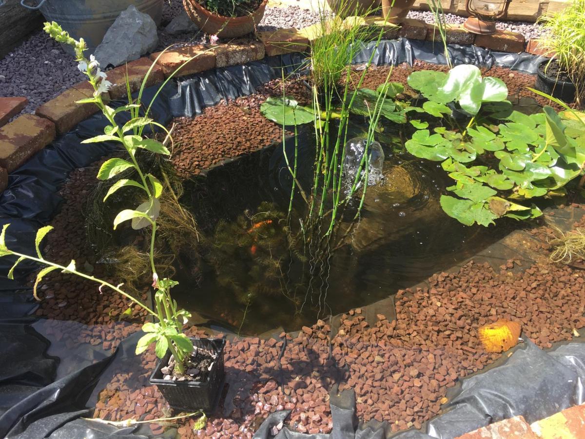 Photo 36