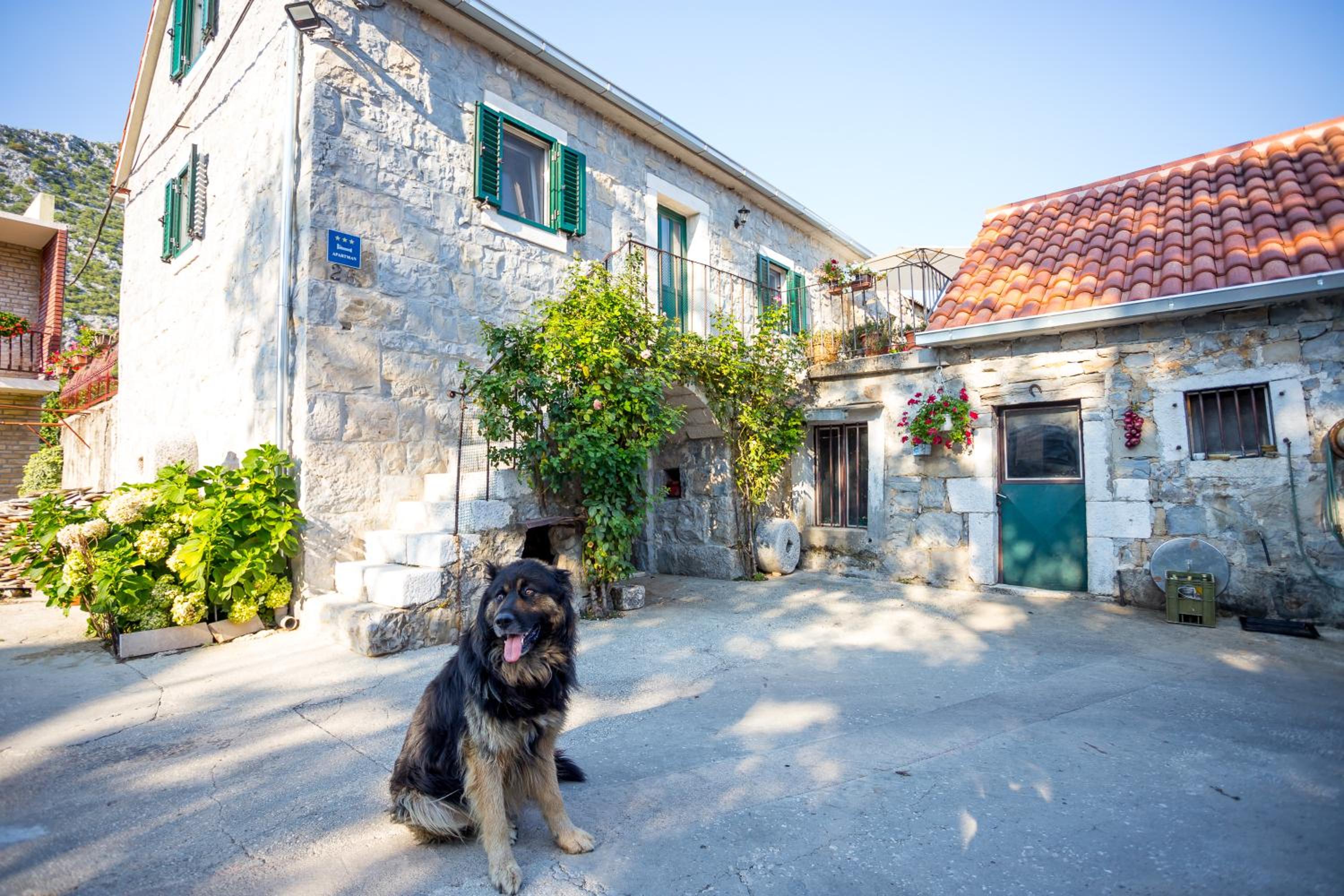 Apartmani Rebac view 3