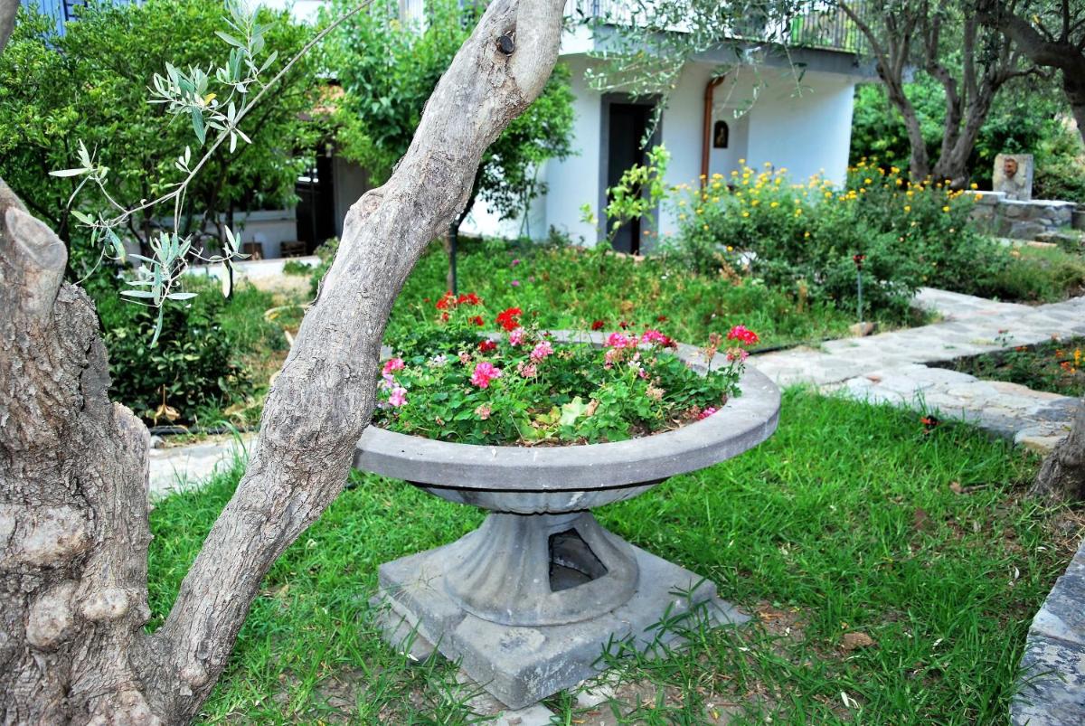 Photo 7