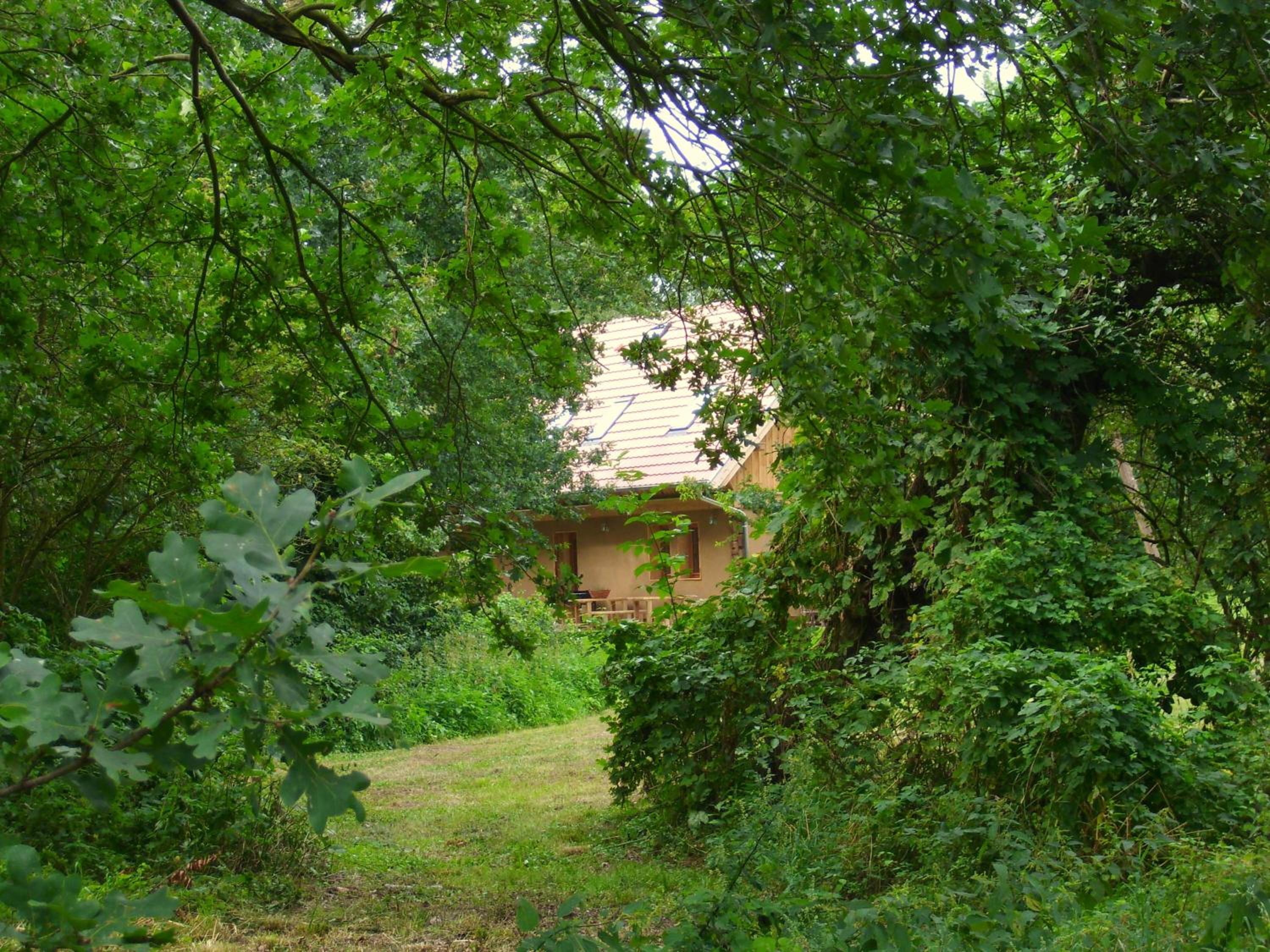 Photo 41