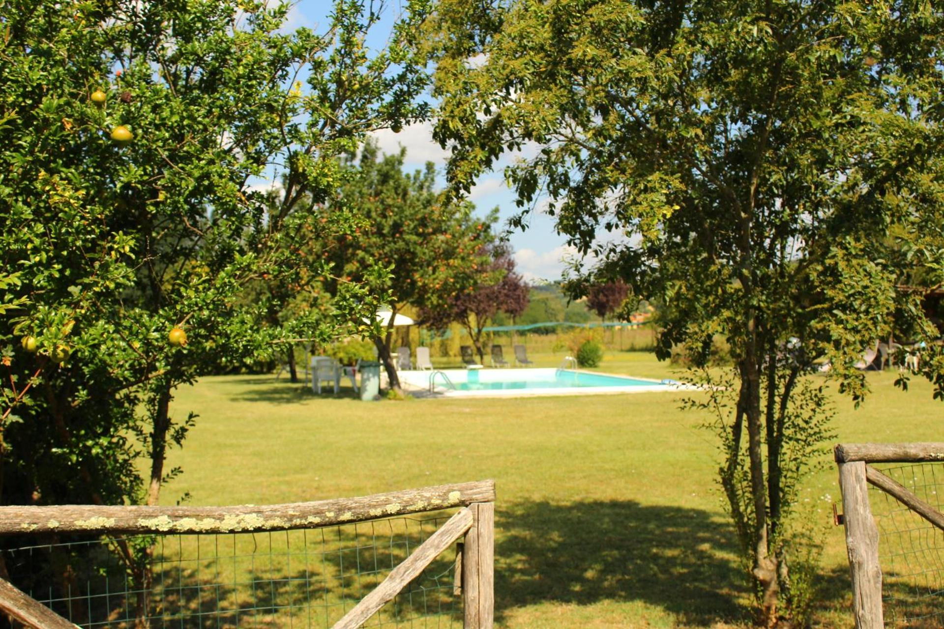 Photo 42
