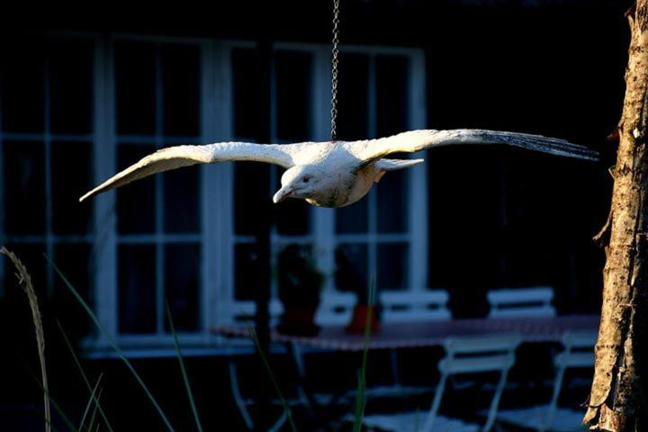 Photo 46