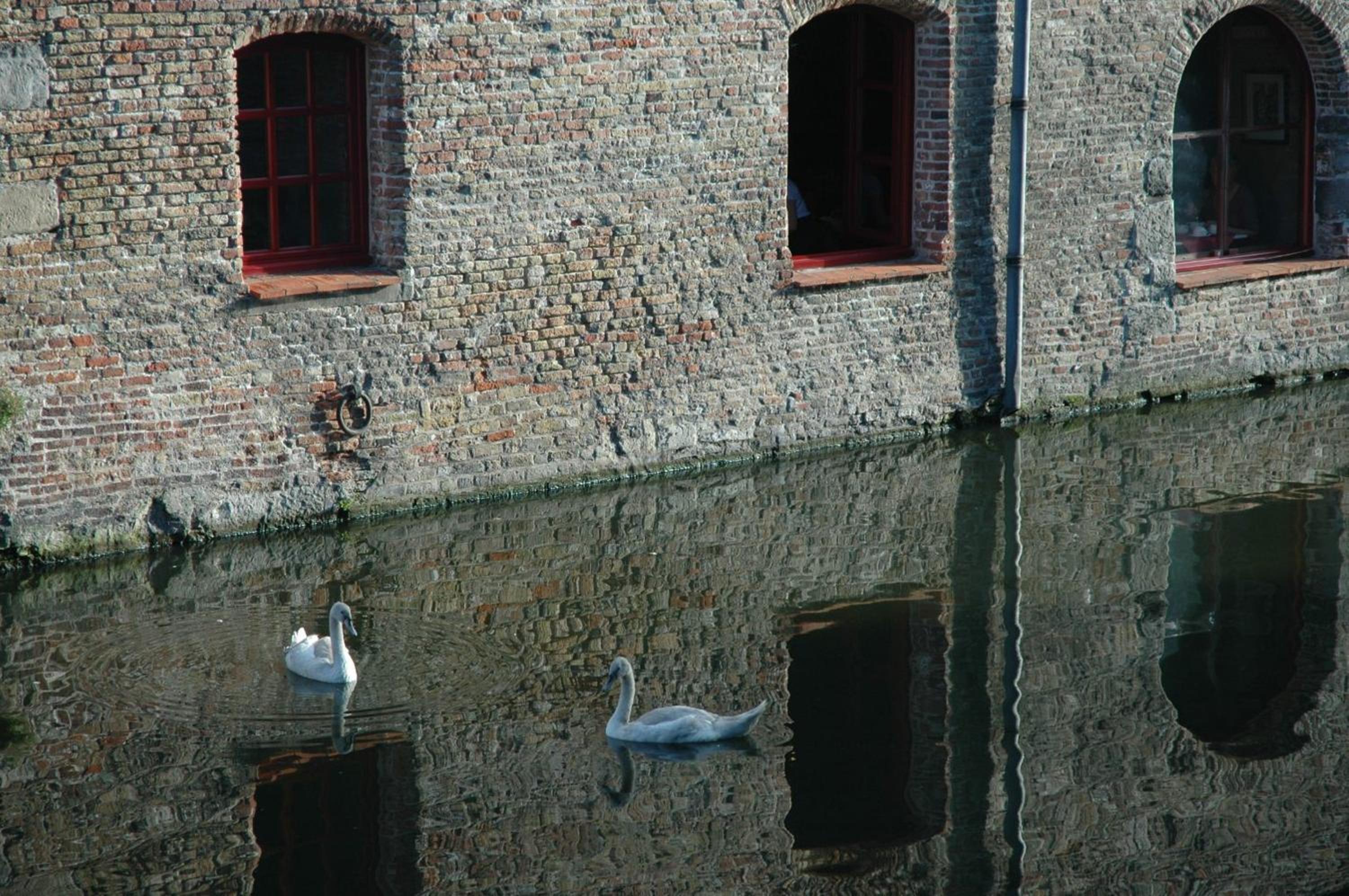 Bruges Vacations - Hotel Ter Brughe by CW Hotel Collection - Property Image 55