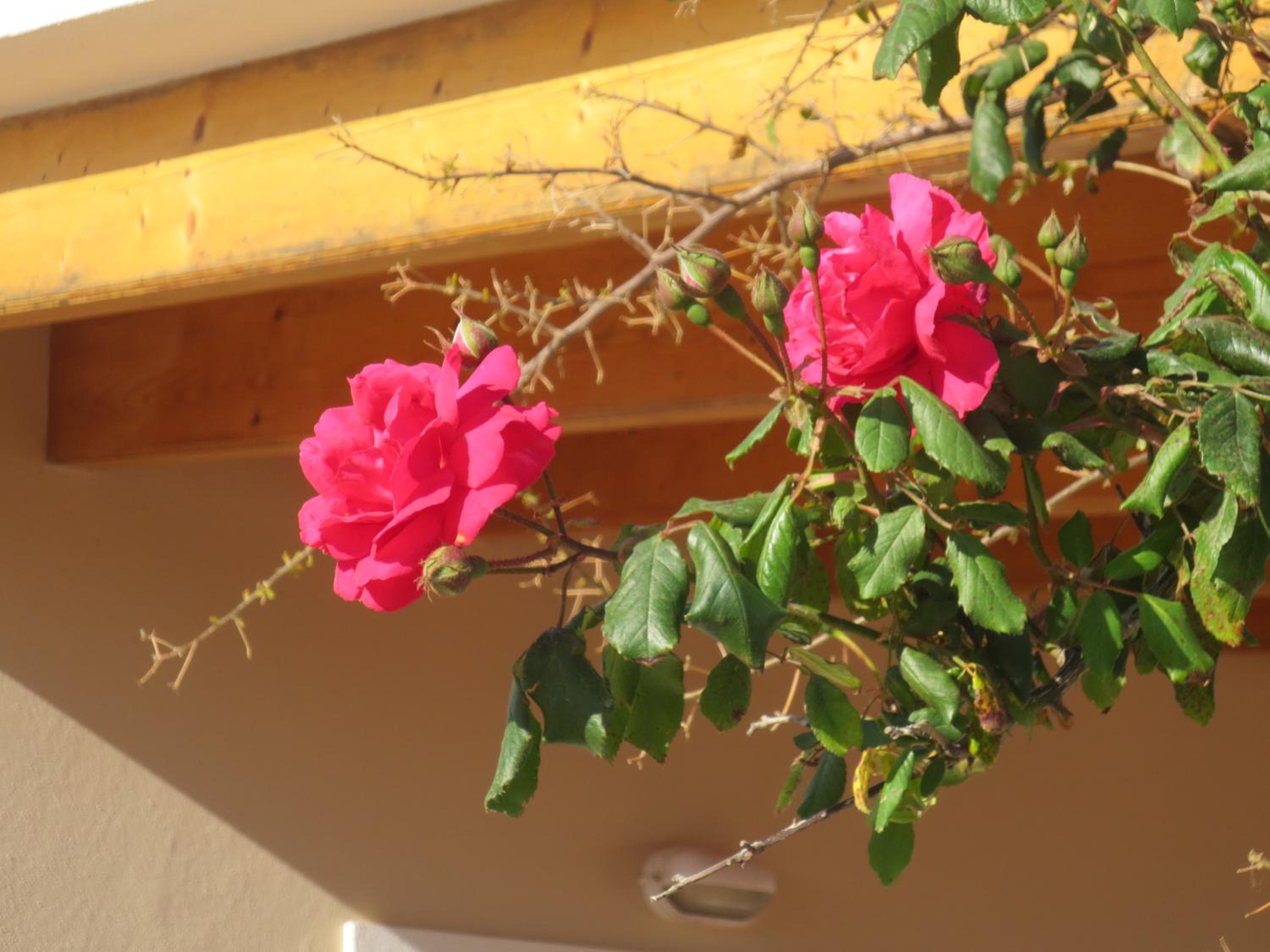 Can Vicent Sita - Casa Rural Ideal Para Parejas view 4