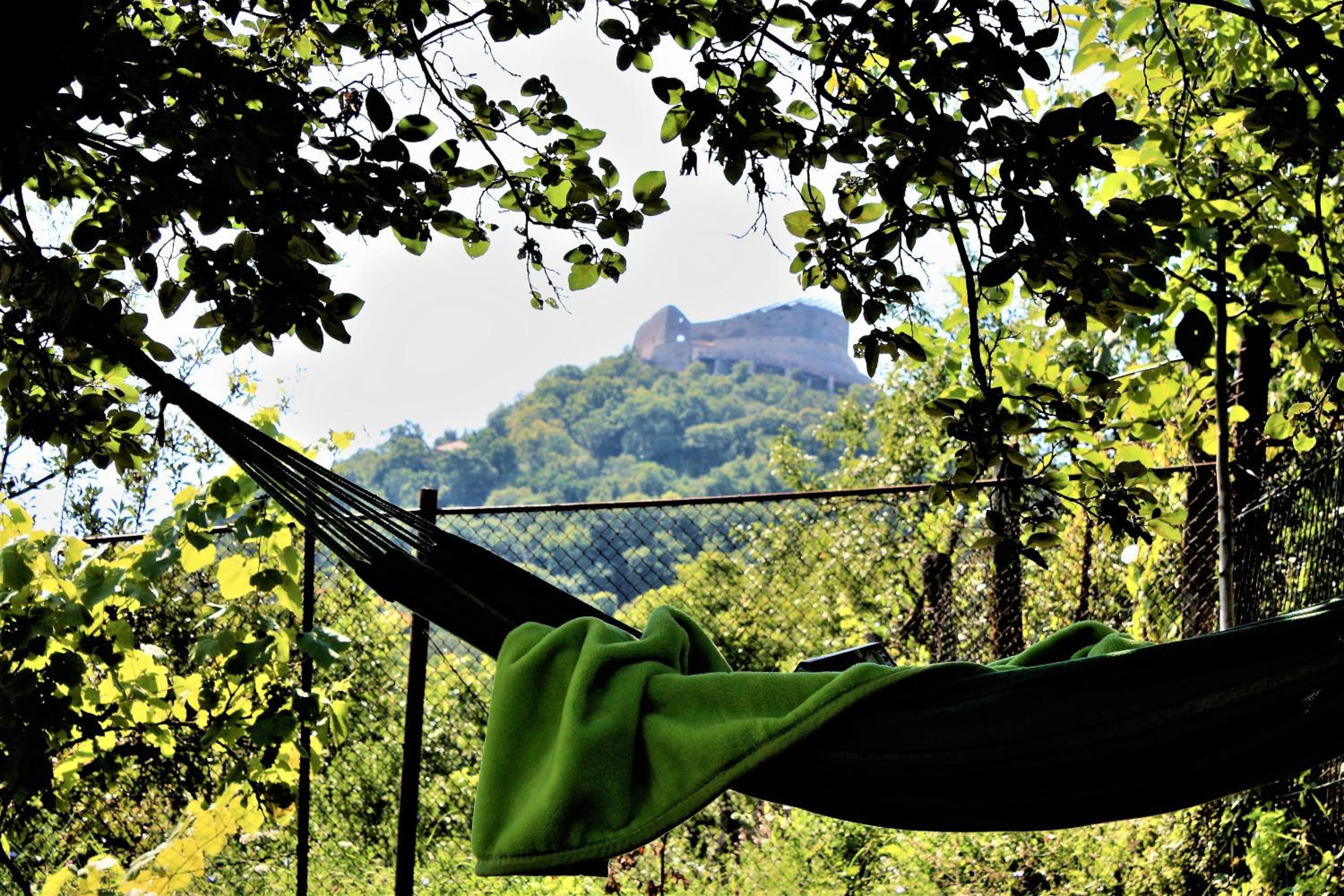 Photo 48