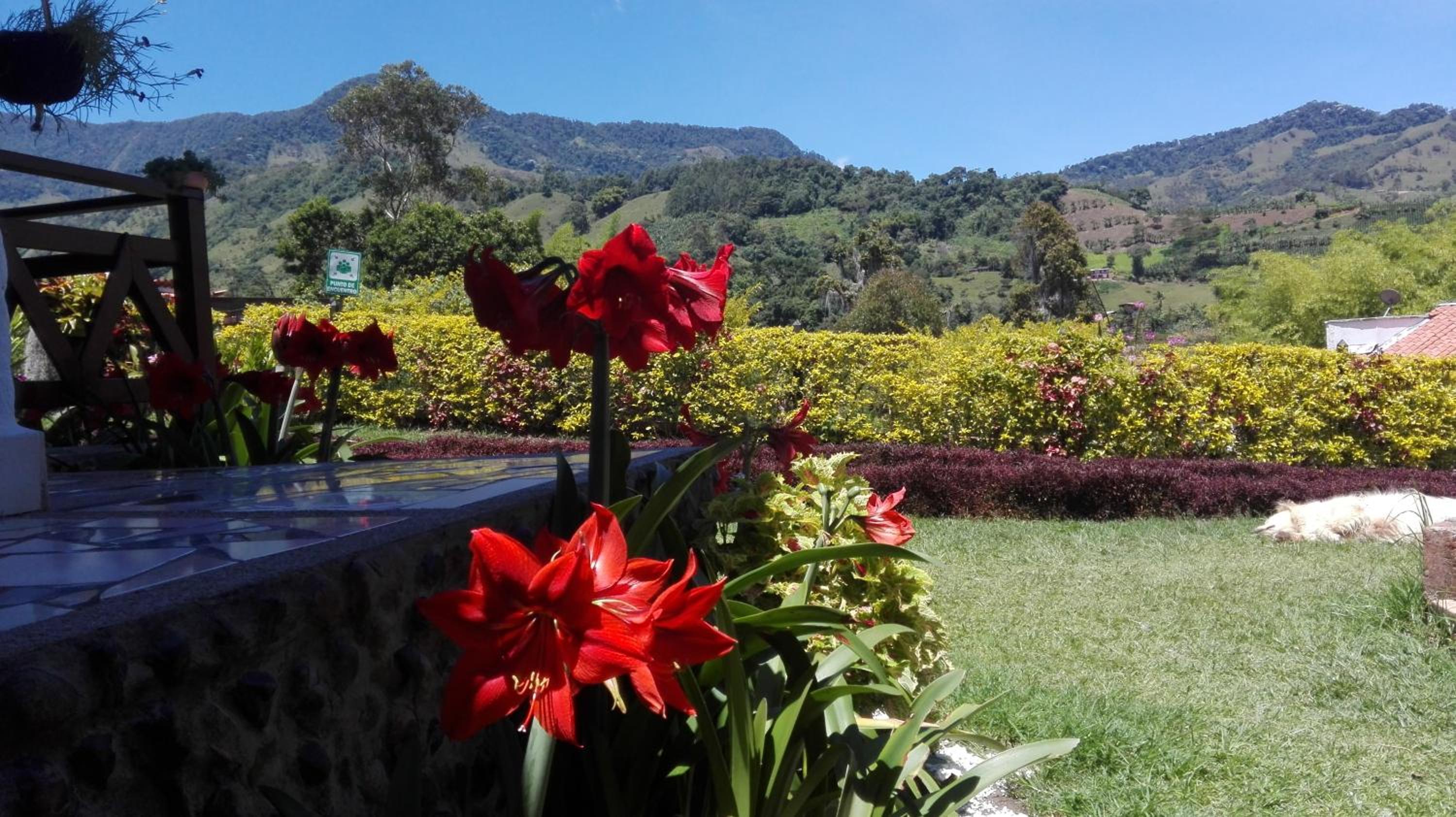 Coliving LA BOIRA