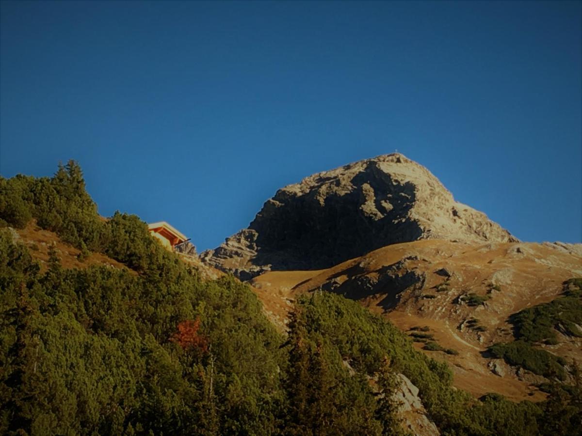 Photo 41