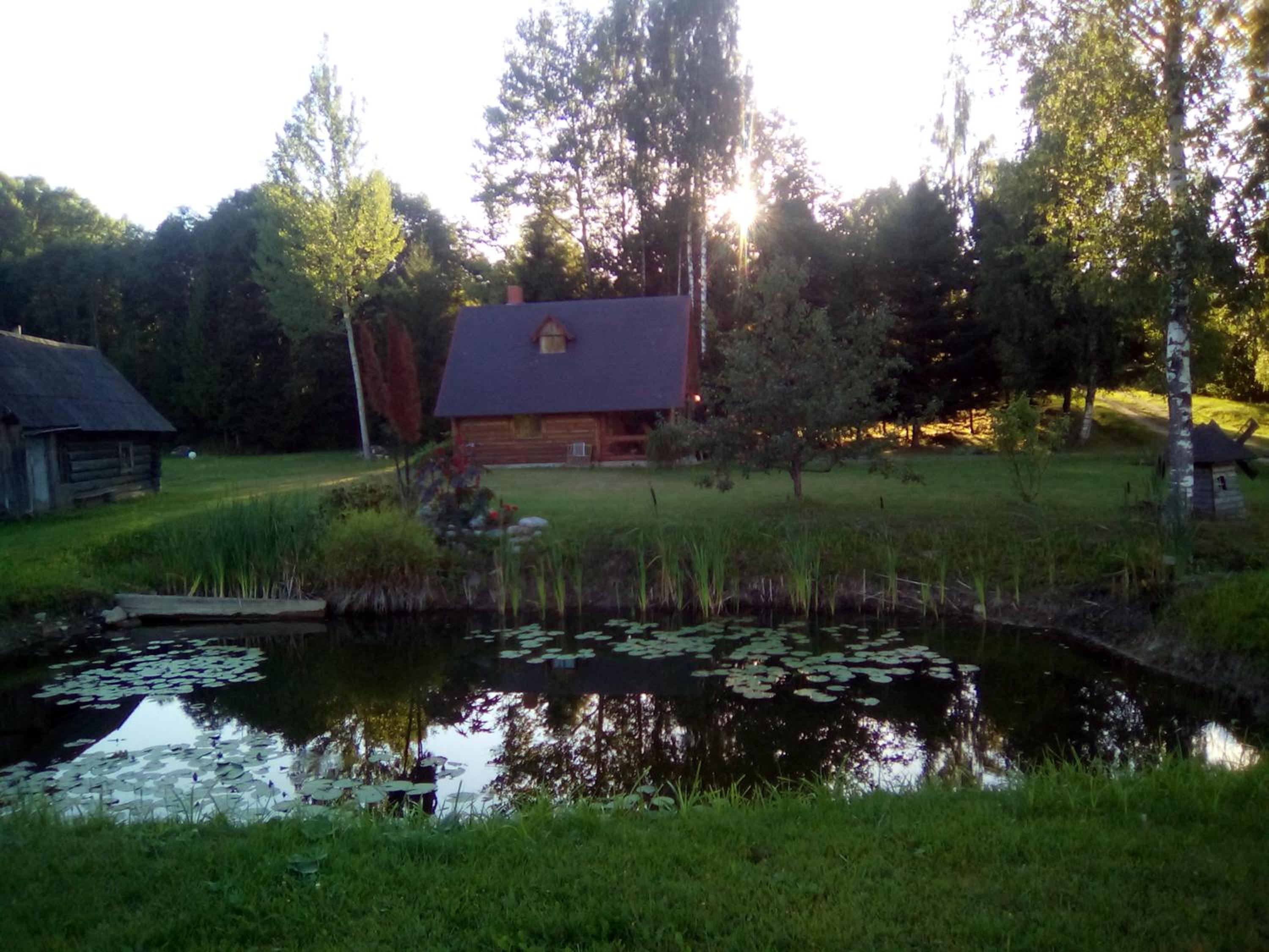 Photo 15