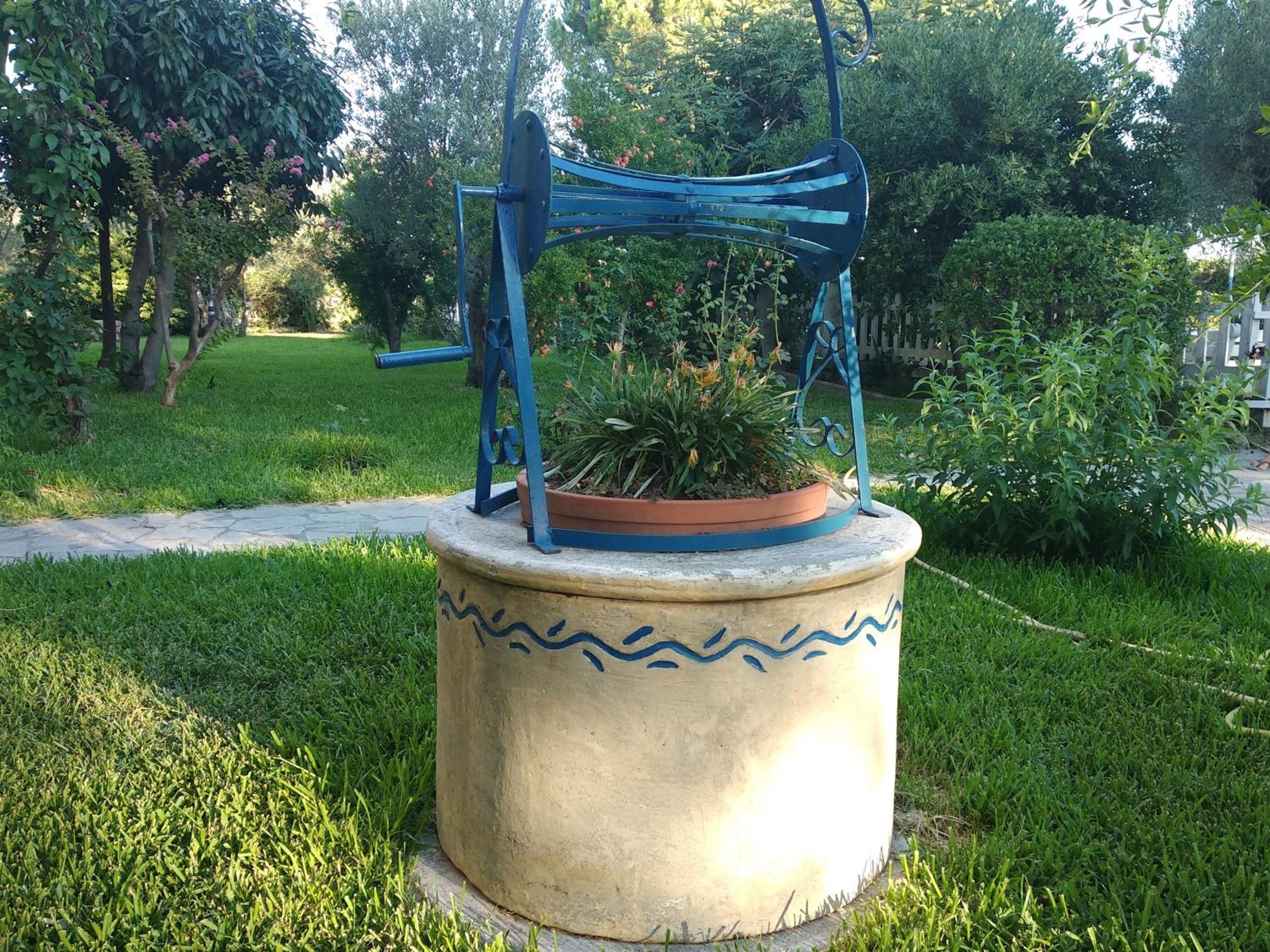 Photo 8