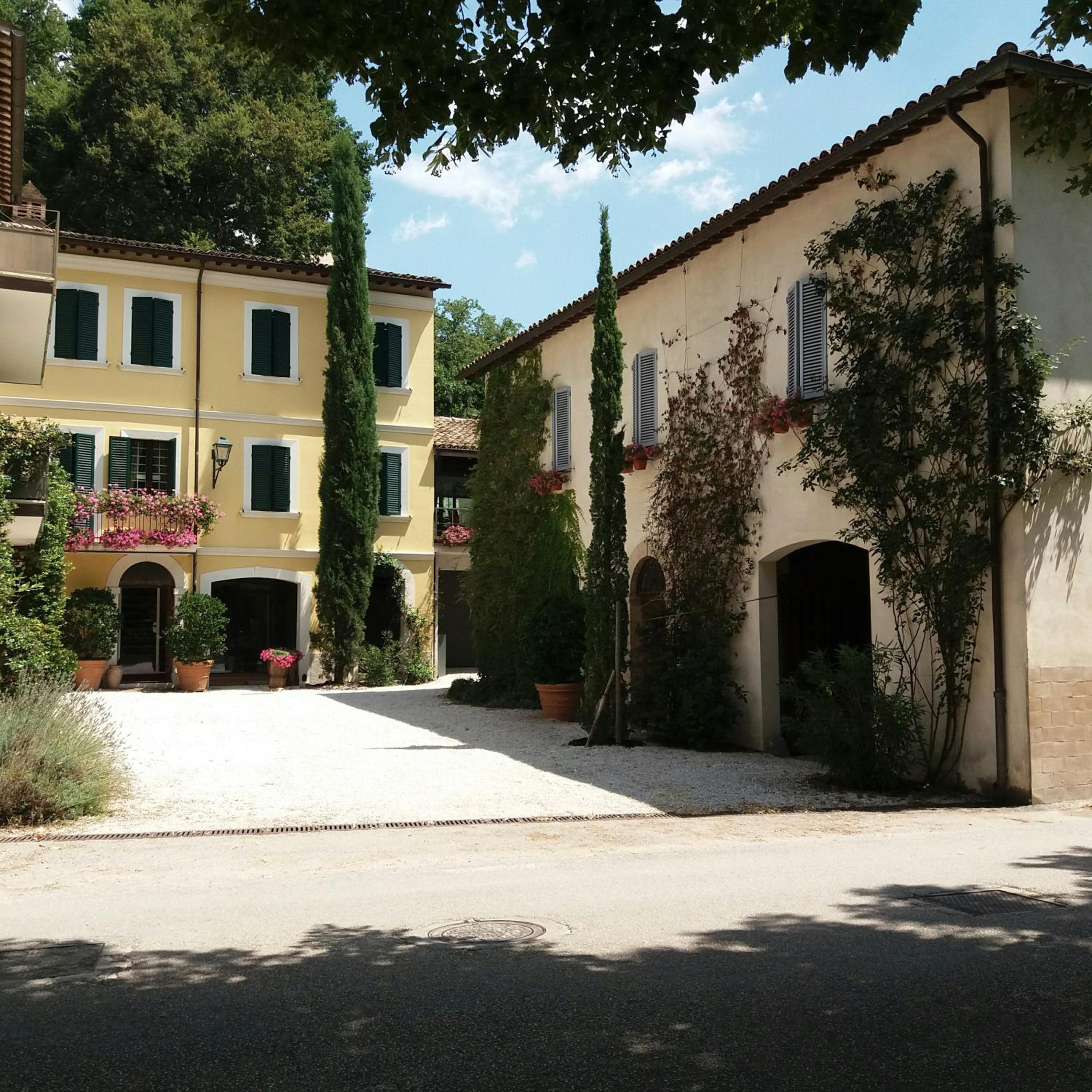 Photo 44