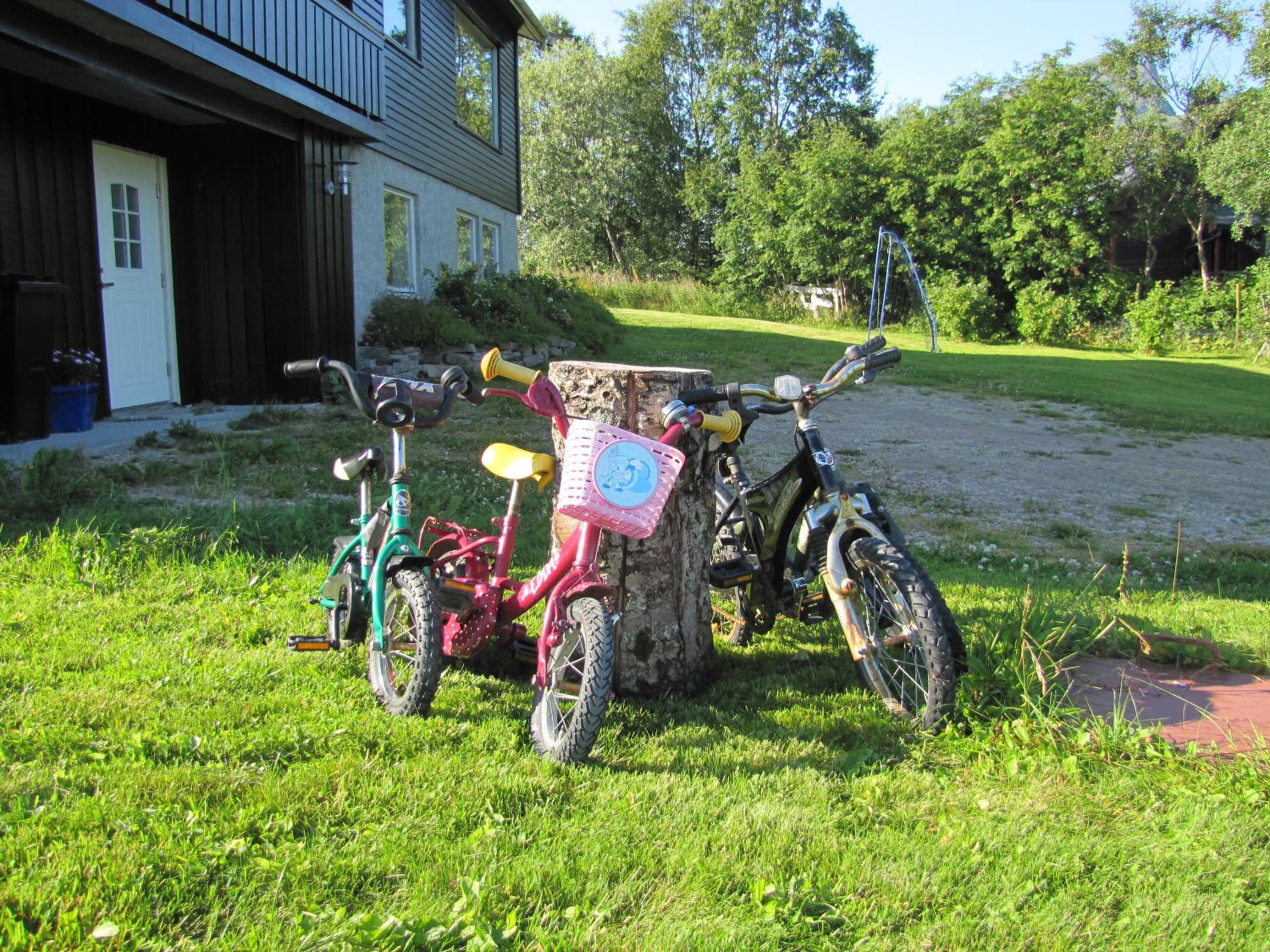 Photo 25