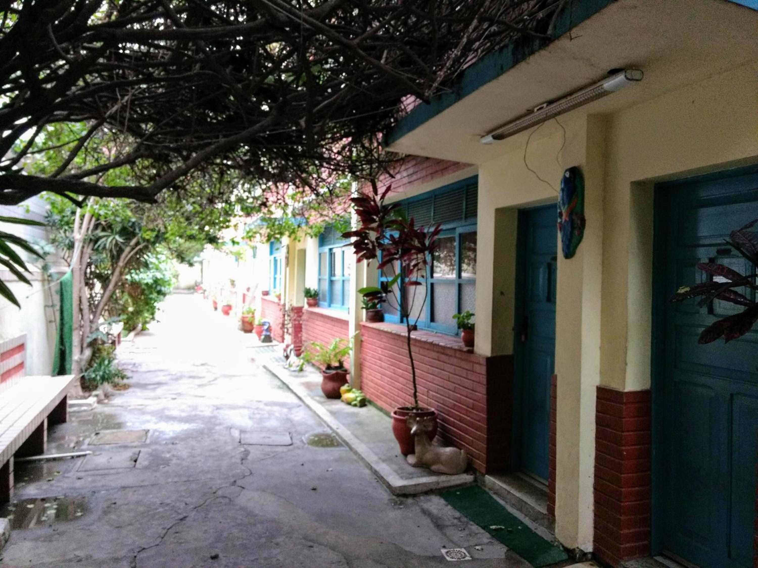 Photo 6