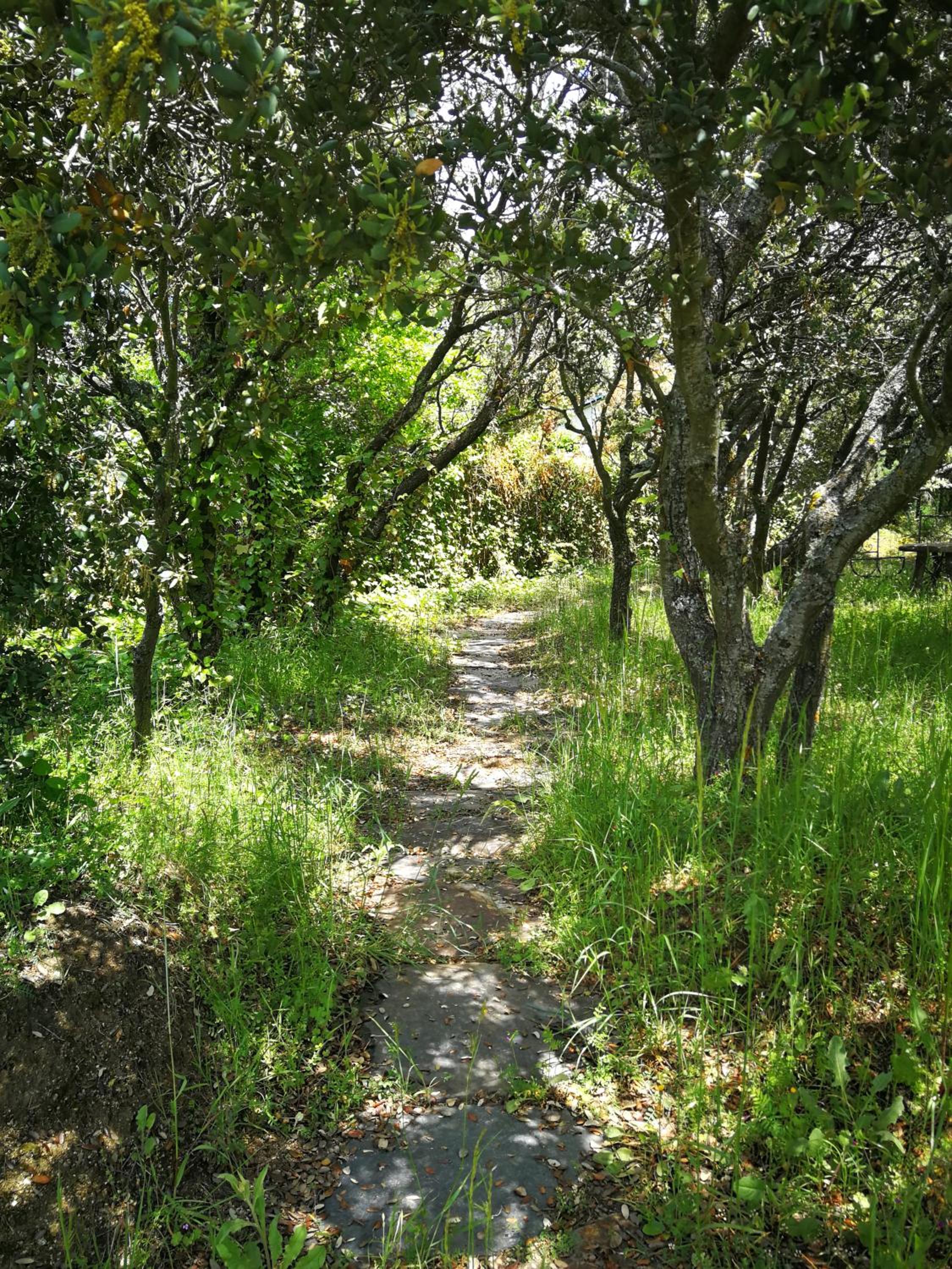 Photo 43